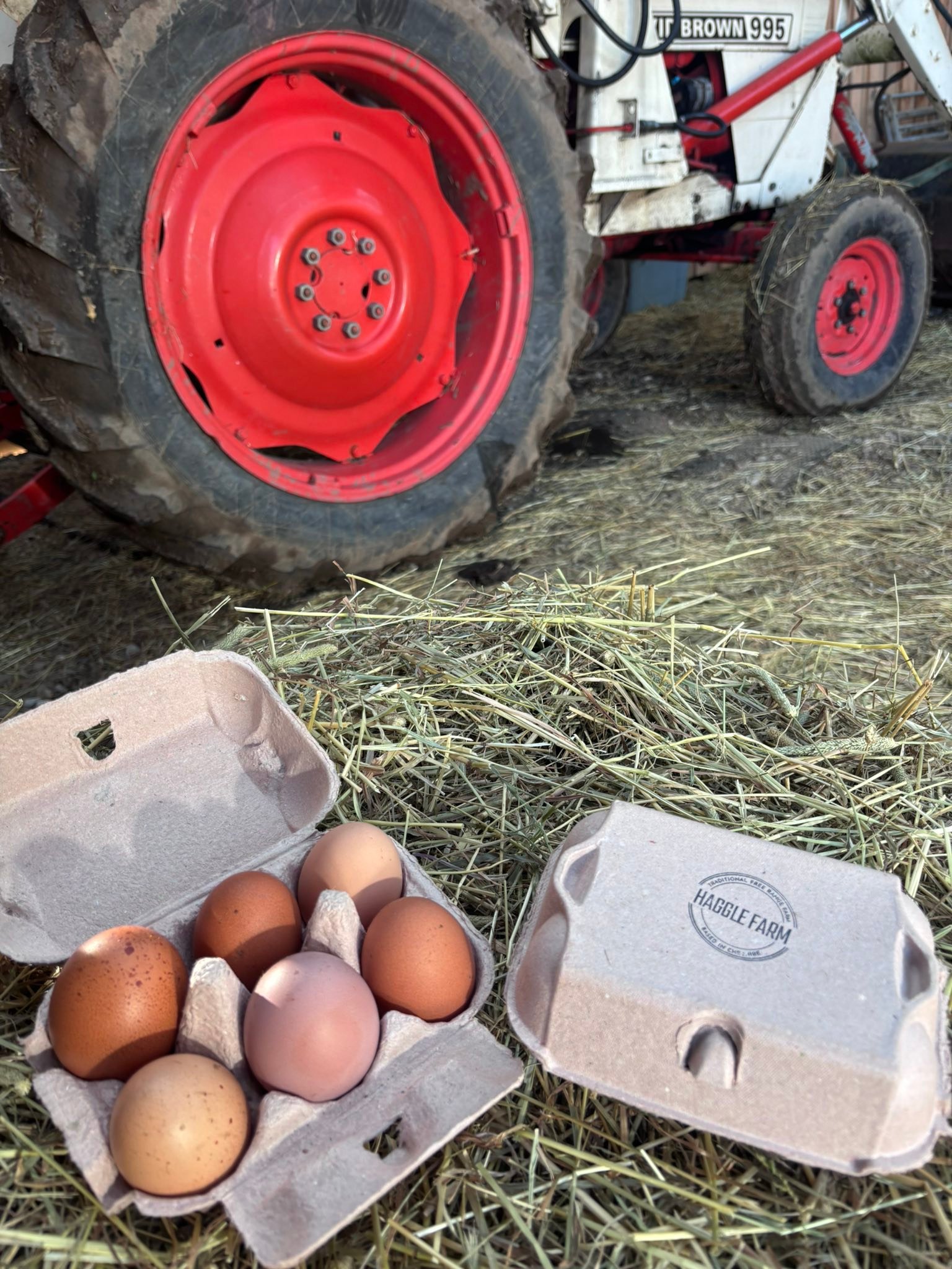 Haggle Farm - Our girls are certainly ramping up their egg... | Facebook