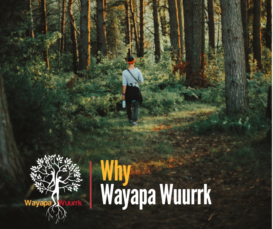 Wayapa Wuurrk