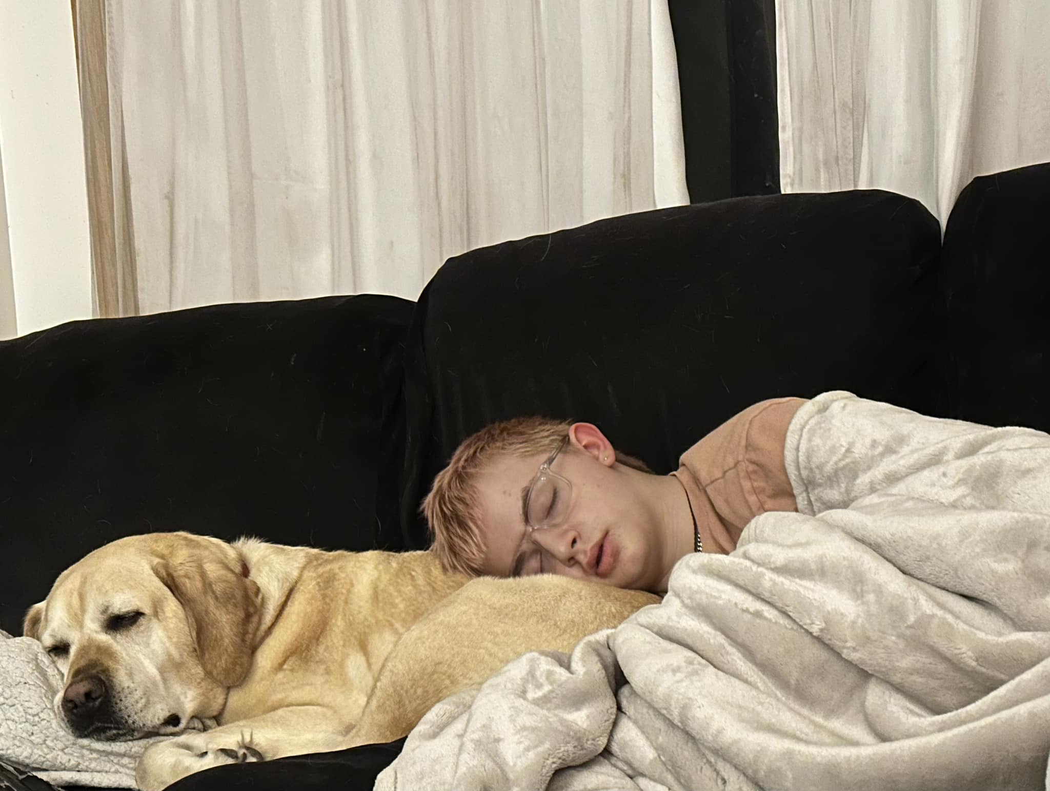 As Told By Linus- An Autism Assist Dog
