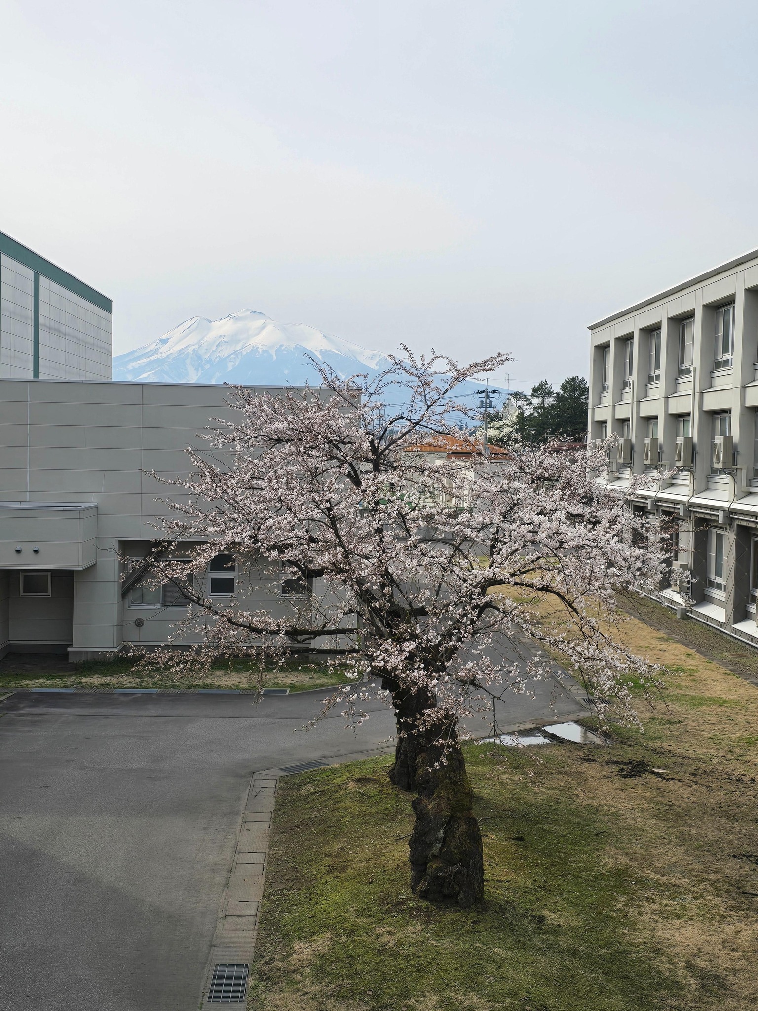 青森県立弘前工業高等学校同窓会 - 青森県立弘前工業高等学校同窓会 added a new photo.