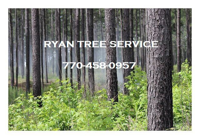 Ryan Tree Service | Lilburn GA