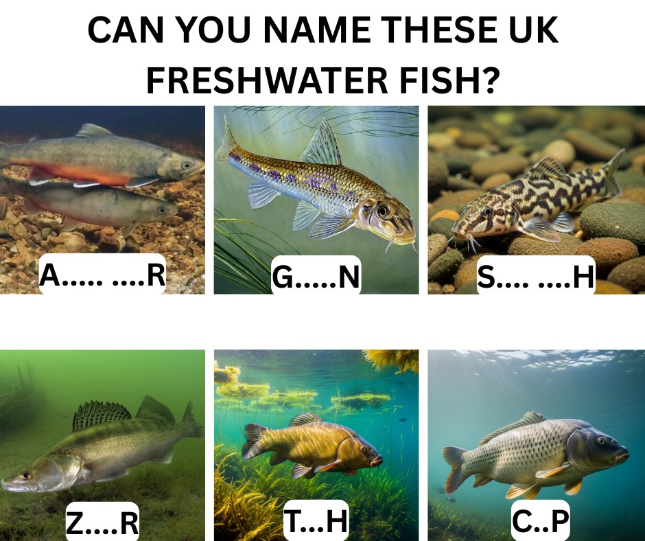 Totally - How Many of These Freshwater Fish Can YOU Name Without ...