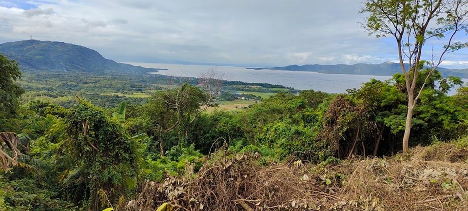 LAGOña Vista