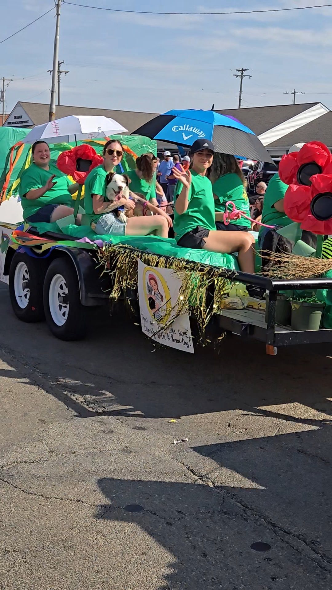 Humane - Our float full of some of our adoptable dogs and wonderful ...