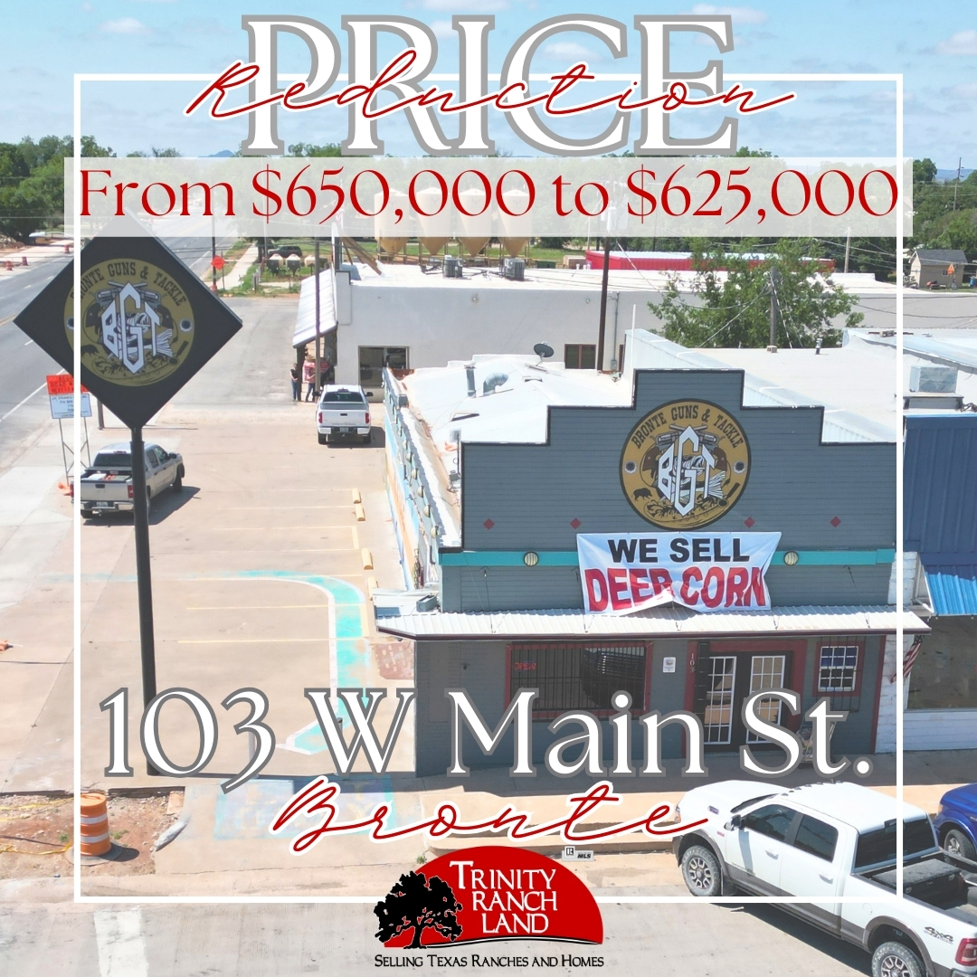 Trinity - 🚨 PRICE IMPROVEMENT IN COKE COUNTY! 🚨 Now offered at $625,000 ...