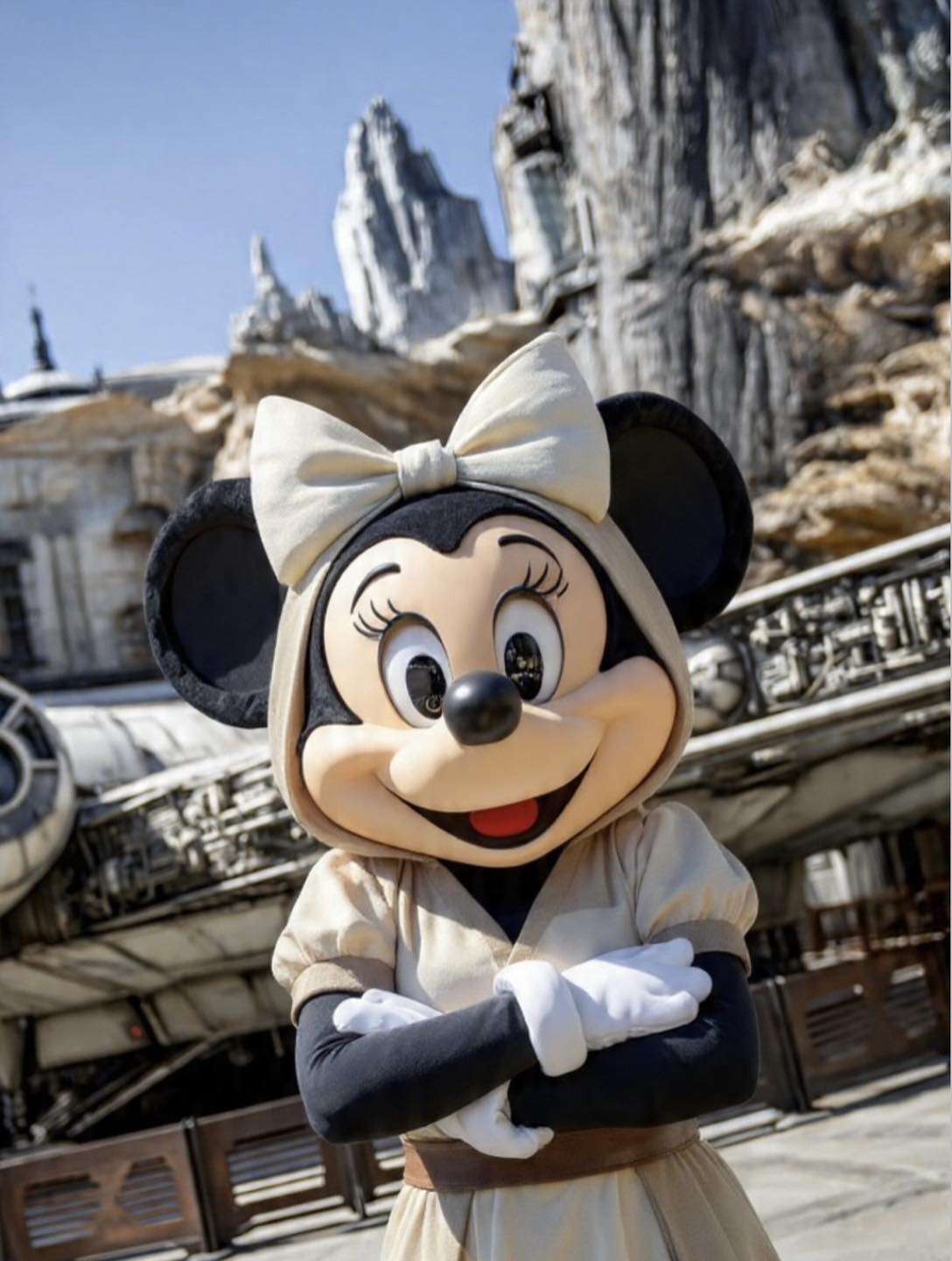Storm Trooper Mickey and Princess Leia Minnie!!! ✨ 🎨 txdisney