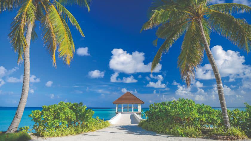 letsgo2 - 🏝️ Embrace Paradise with Varu by Atmosphere! 🌊...