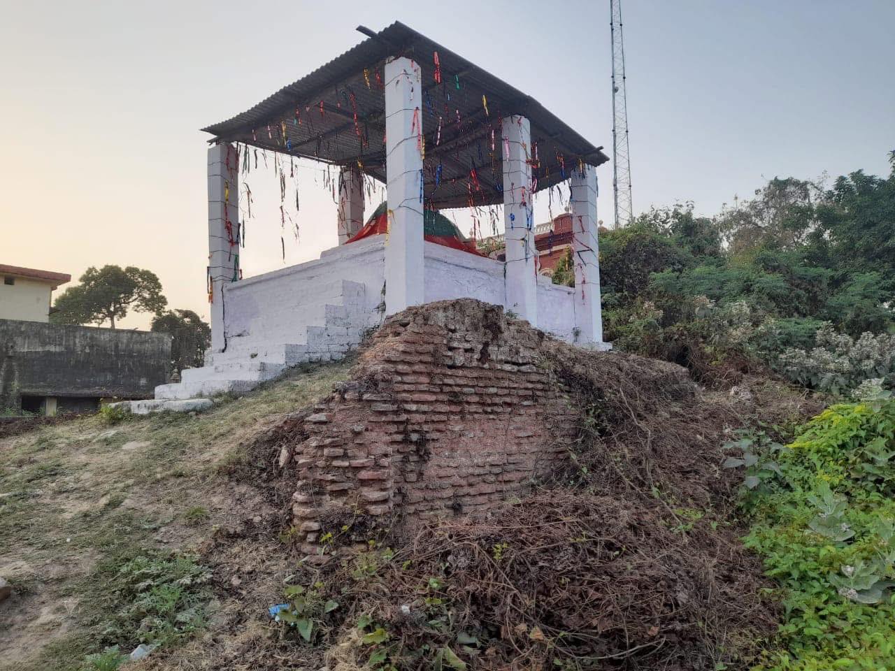 Sharique Raza Quadri
