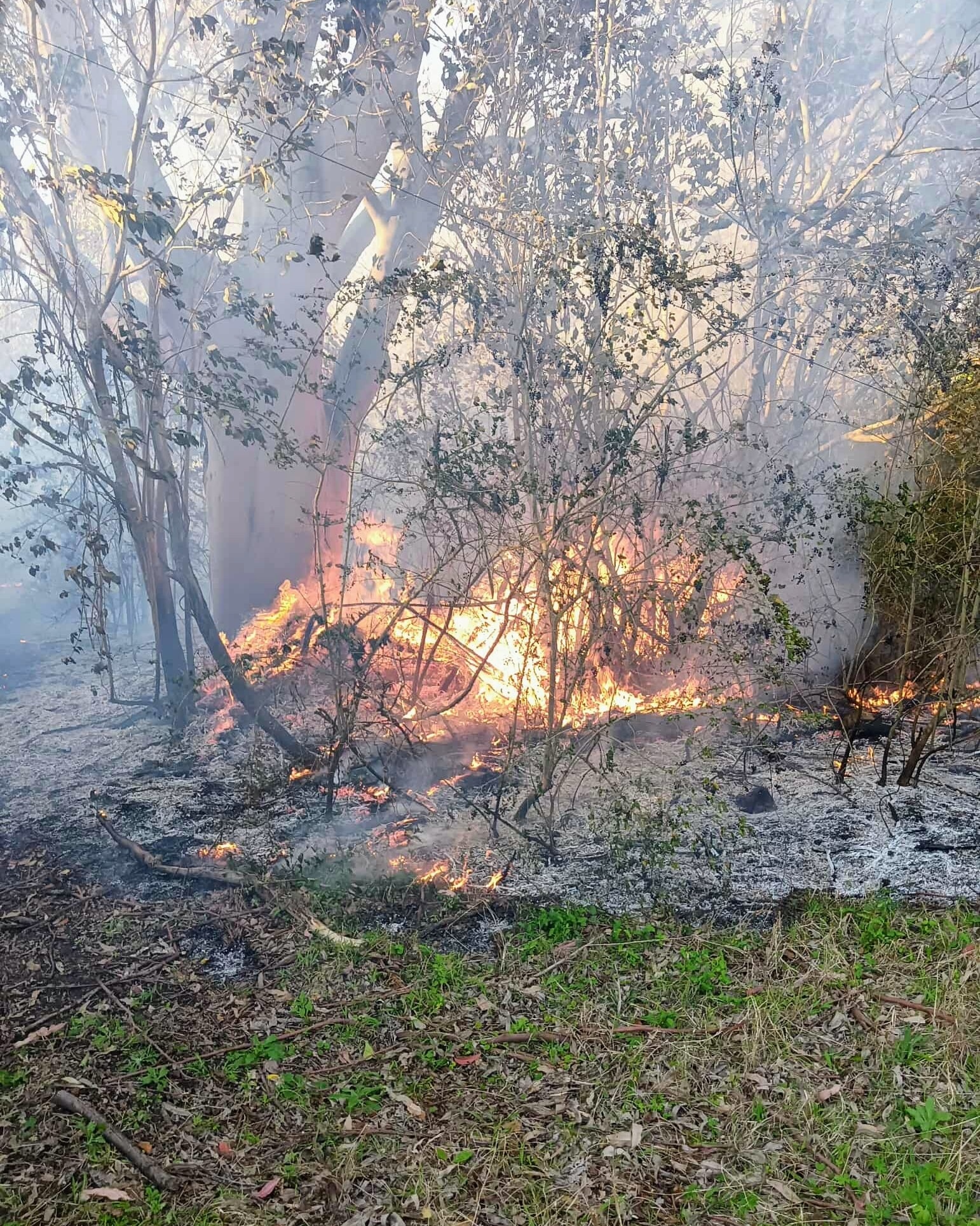 NSW RFS - Berkshire... - NSW RFS - Berkshire Park Brigade