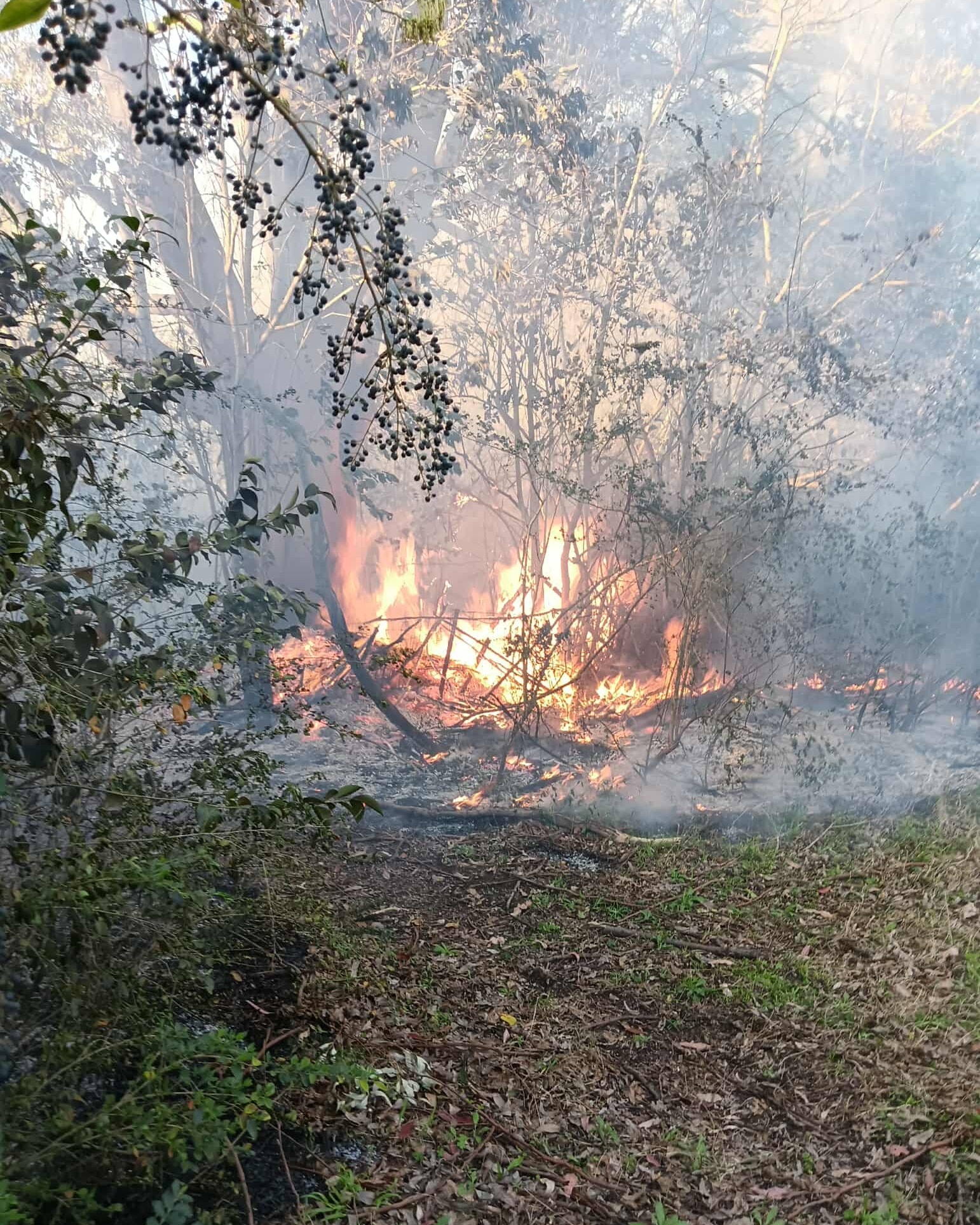 NSW RFS - Berkshire... - NSW RFS - Berkshire Park Brigade