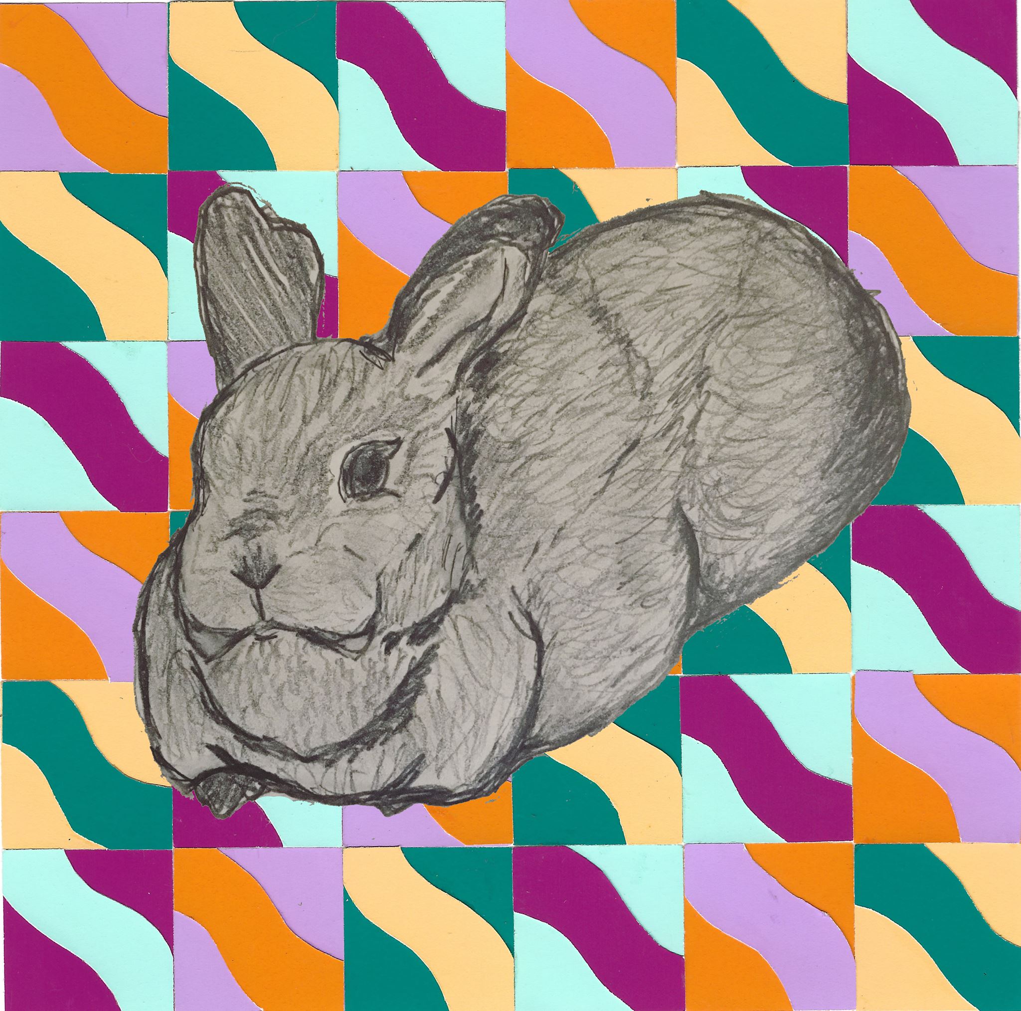 Recovery_Rabbit