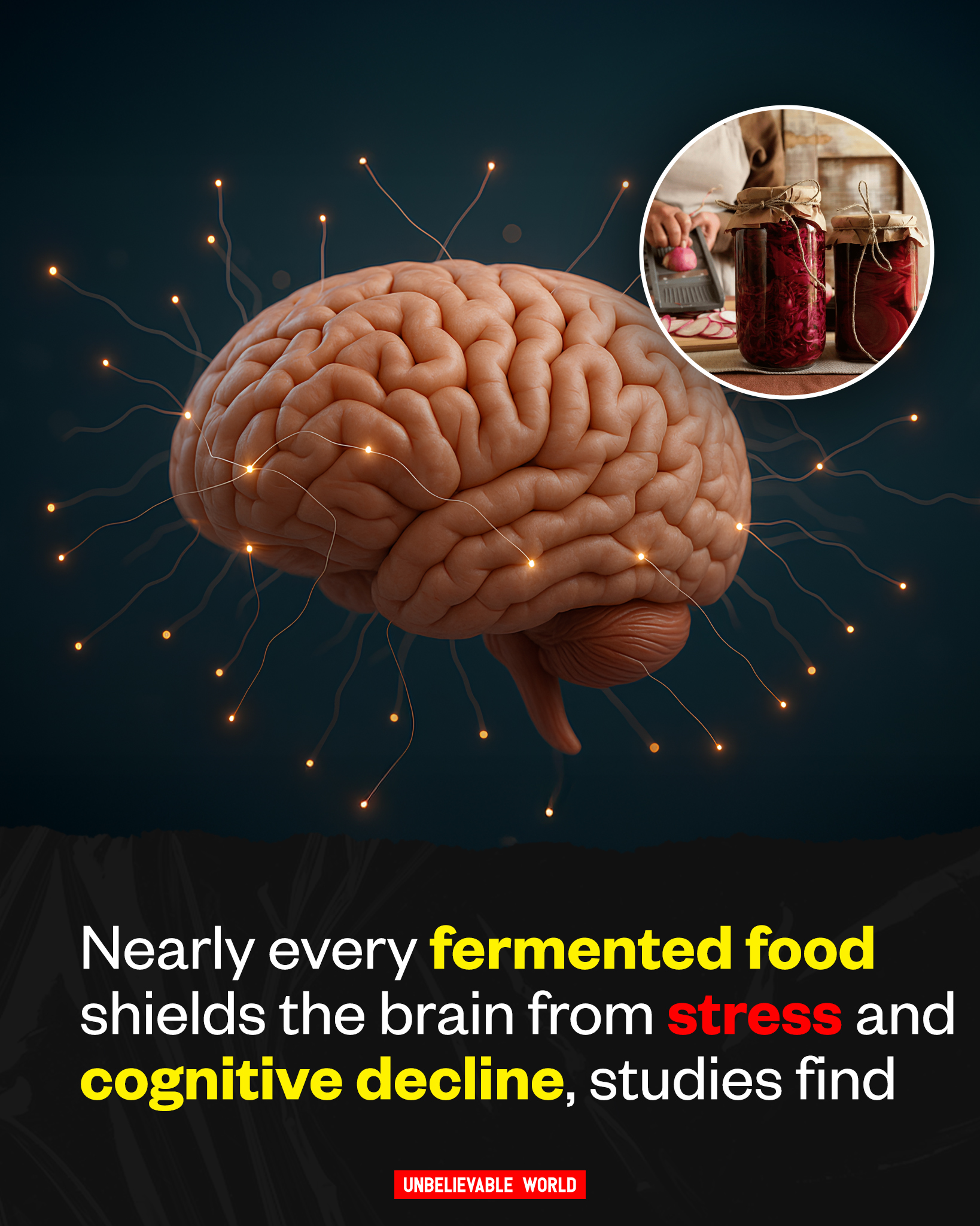 Unbelievable Fermented Foods Nourishing The Gut Protecting The Photo Inspiration