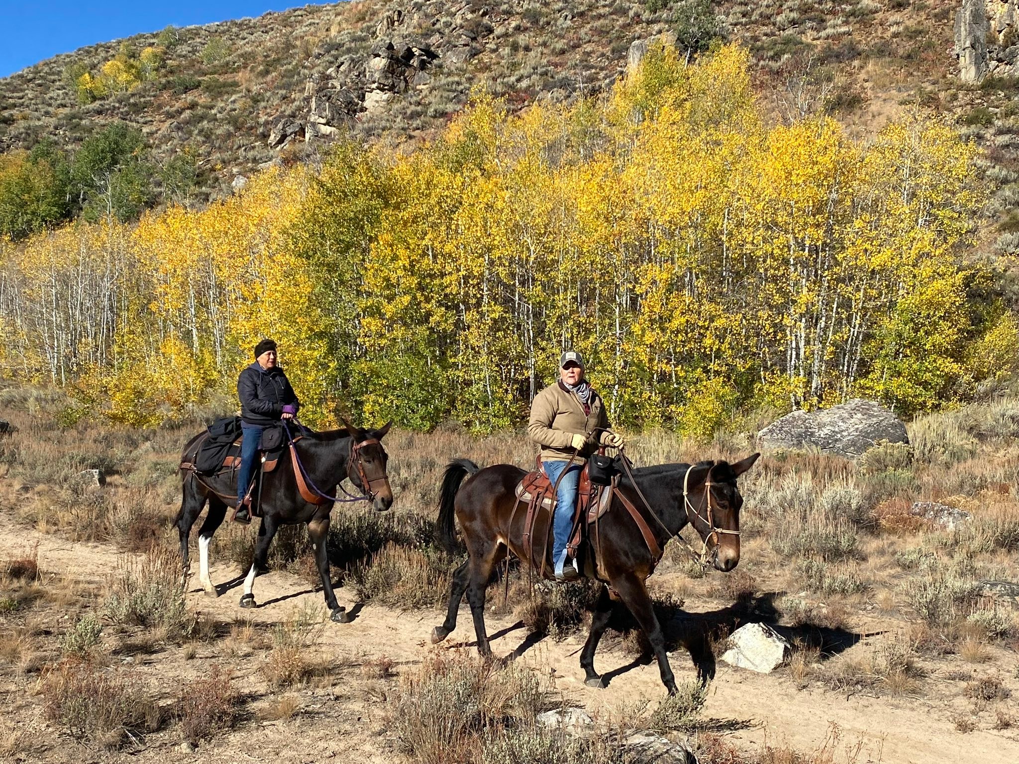 Cache Peak Back Country Horsemen of Idaho