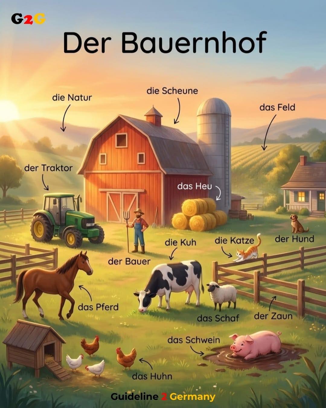 Guideline2Germany - Ein Morgen auf dem Land Es ist früh am Morgen. Die ...