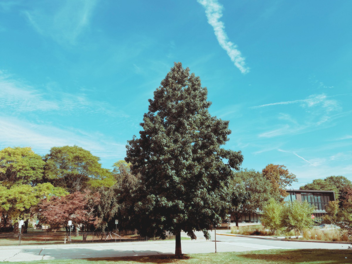 Rhode Island College (RIC)... - Rhode Island College (RIC)