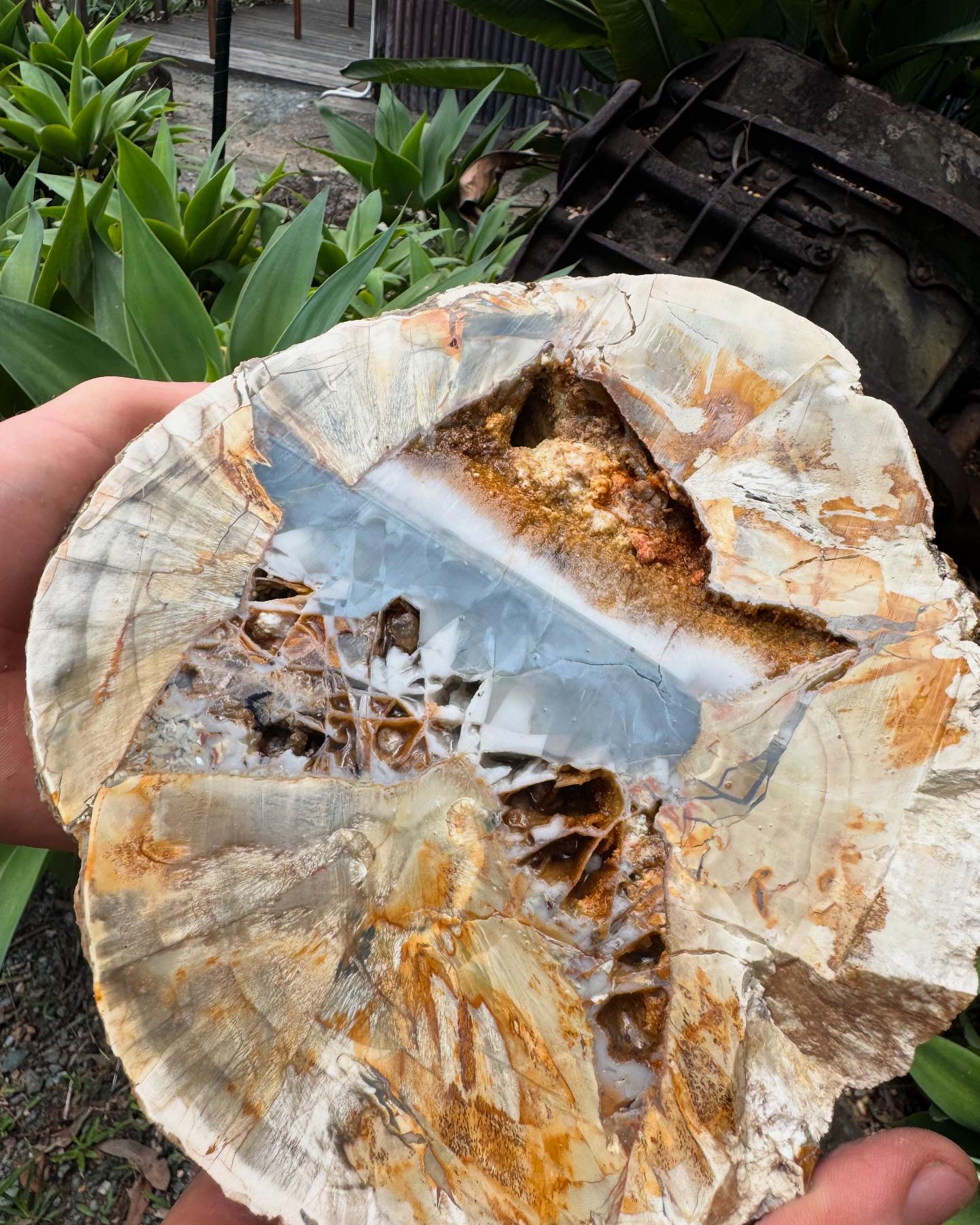 Thunderegg Crystal Mine at Thunderbird Park | Mount Tamborine QLD