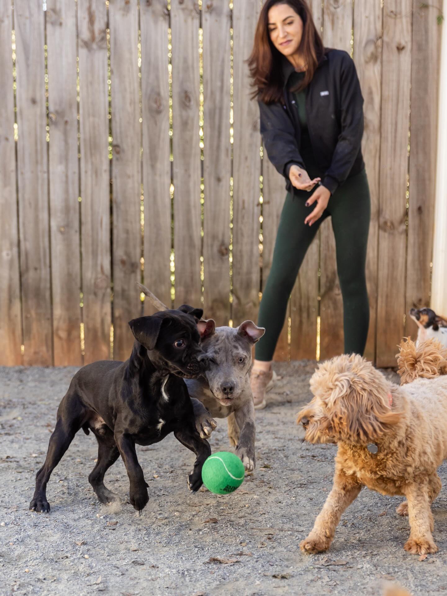 Southwest - Jessica Lopez has called many places home, but one dream ...