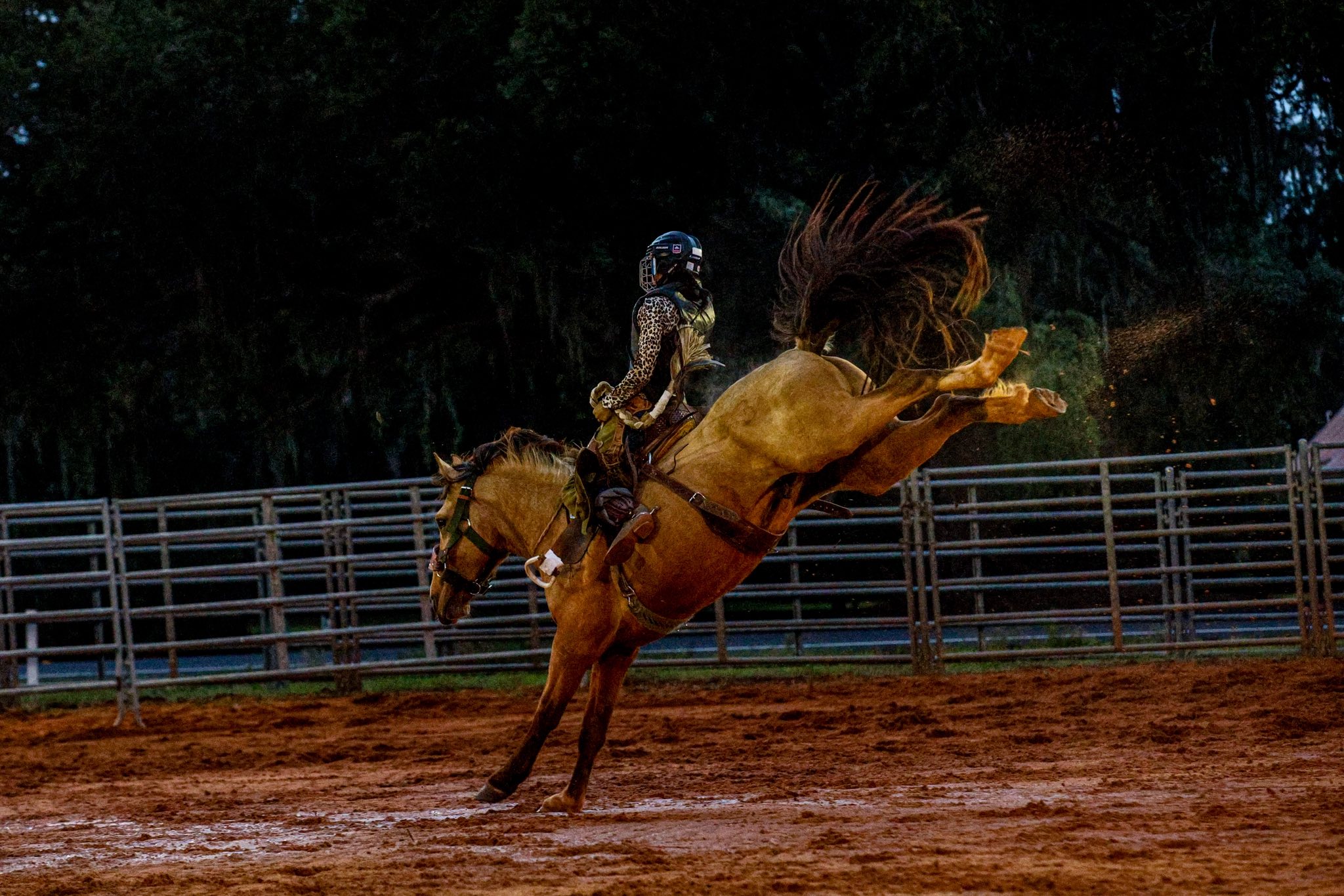 Women's Ranch Bronc Championships