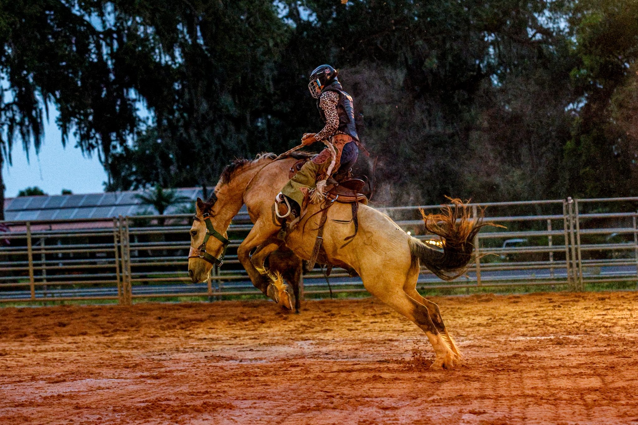 Women's Ranch Bronc Championships