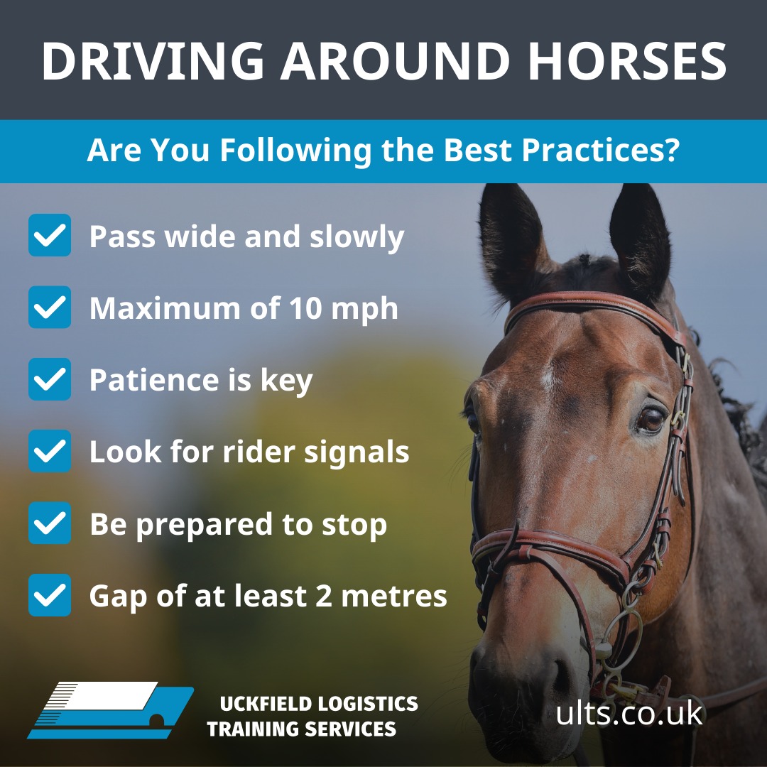 Uckfield - 🐎 𝗘𝘃𝗲𝗿𝘆 𝘆𝗲𝗮𝗿, 𝗵𝘂𝗻𝗱𝗿𝗲𝗱𝘀 𝗼𝗳 𝗵𝗼𝗿𝘀𝗲𝘀 𝗮𝗻𝗱 𝗿𝗶𝗱𝗲𝗿𝘀 𝗮𝗿𝗲 𝗶𝗻𝘃𝗼𝗹𝘃𝗲𝗱 𝗶𝗻 ...