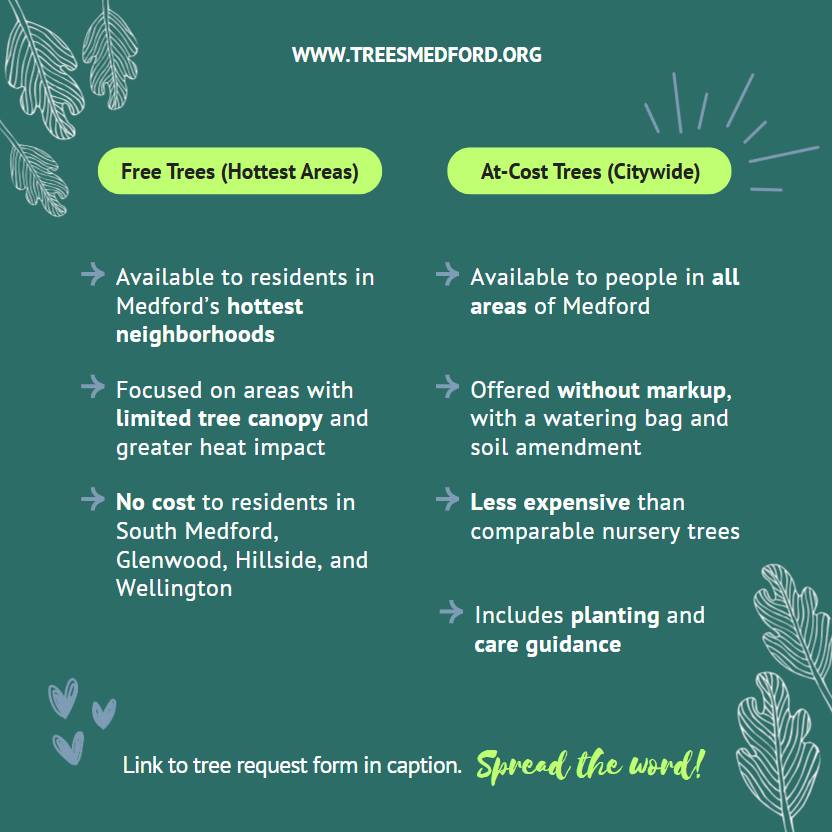 TreesMedford - Free trees = real impact 🌳💚 This past fall... | Facebook