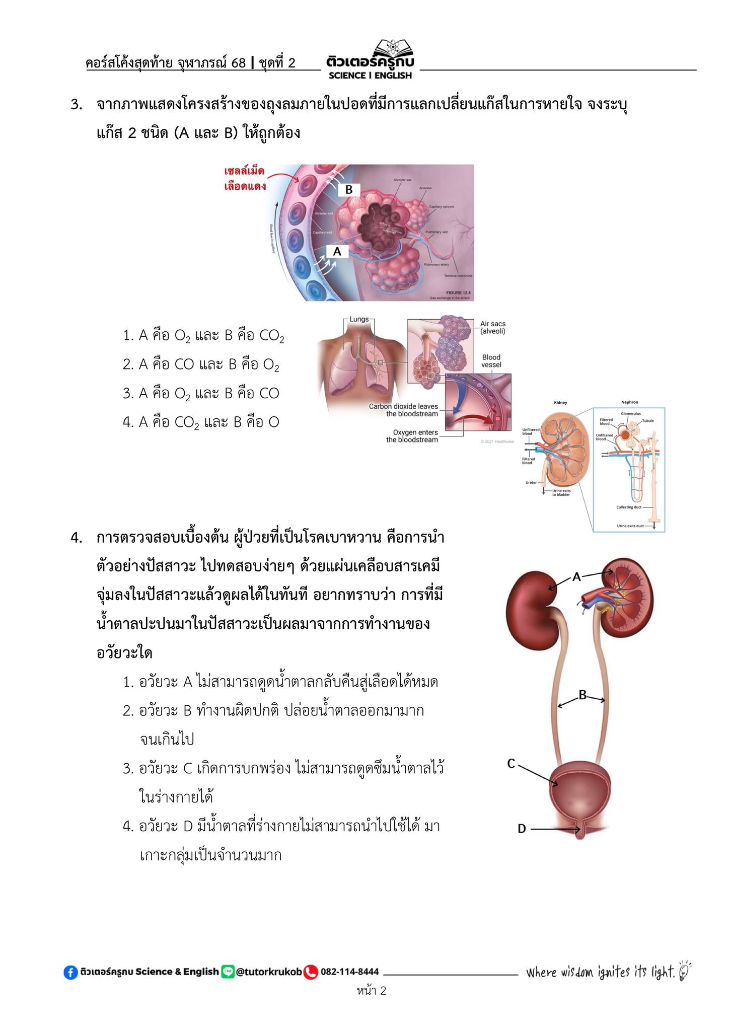 ติวเตอร์ครูกบ Science &... - ติวเตอร์ครูกบ Science & English