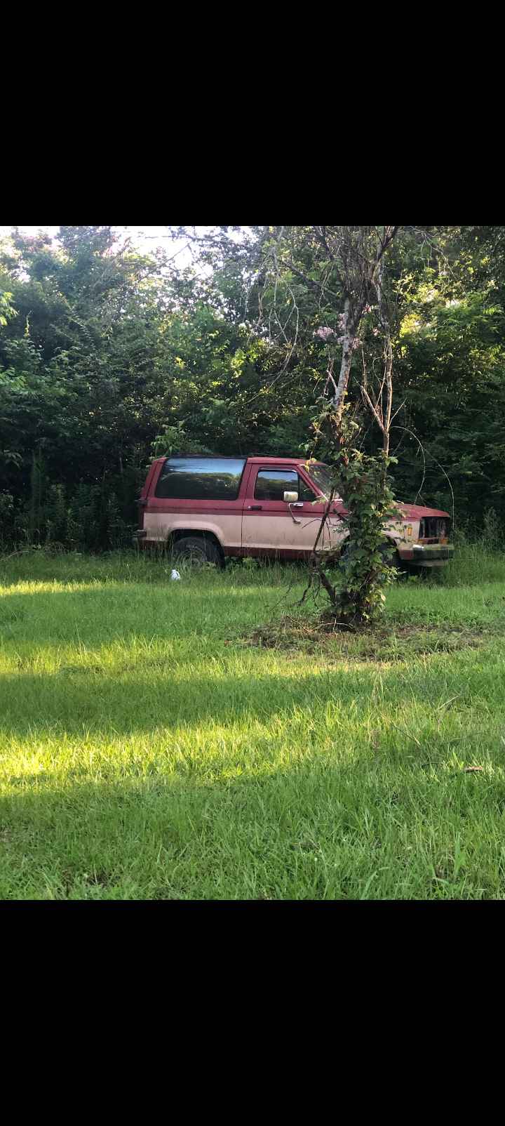 1983 Ford Bronco · Badlands Sport Utility 2D - RVs & Campers - Pell ...