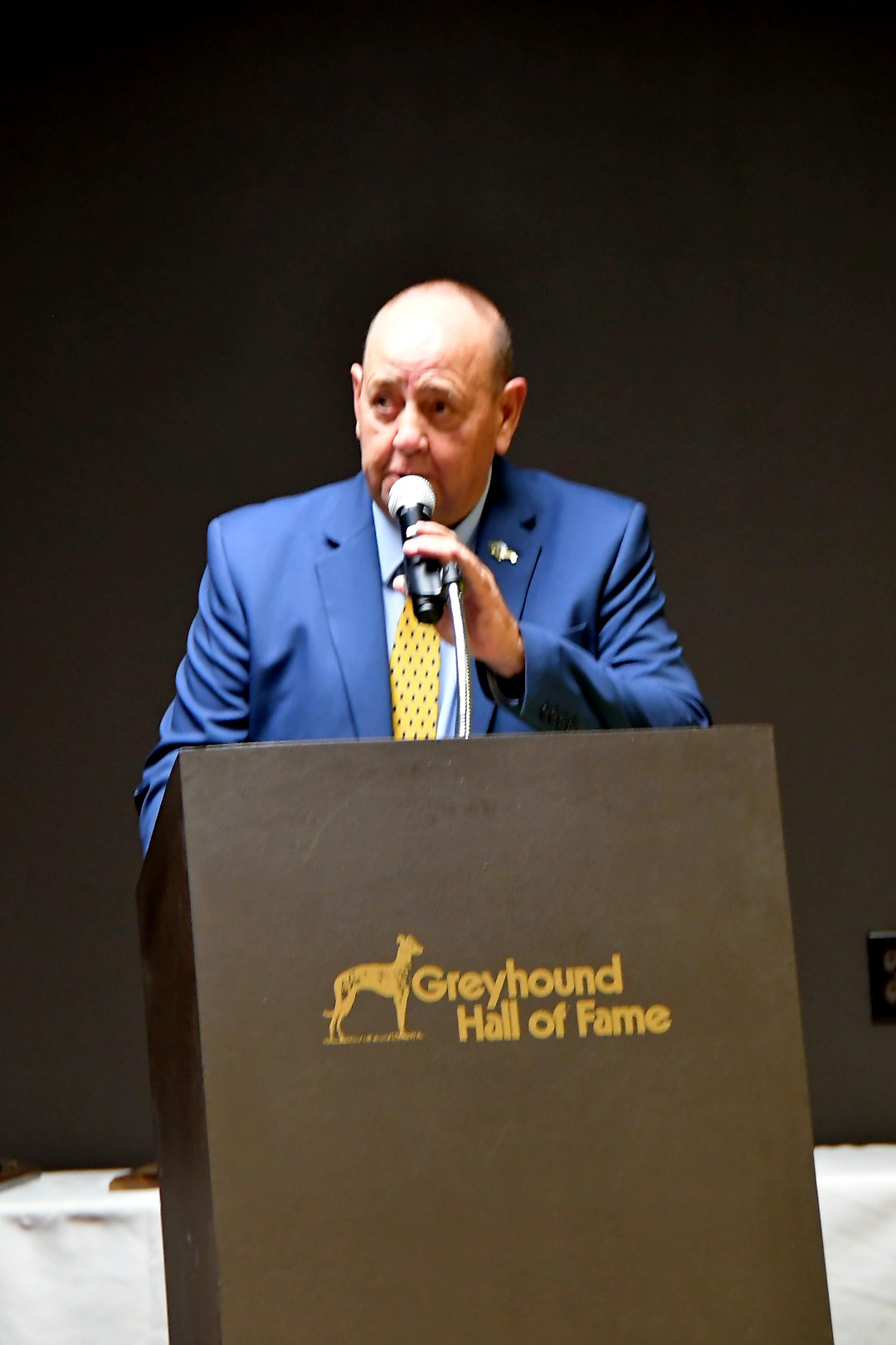 Greyhound Hall of Fame... - Greyhound Hall of Fame museum