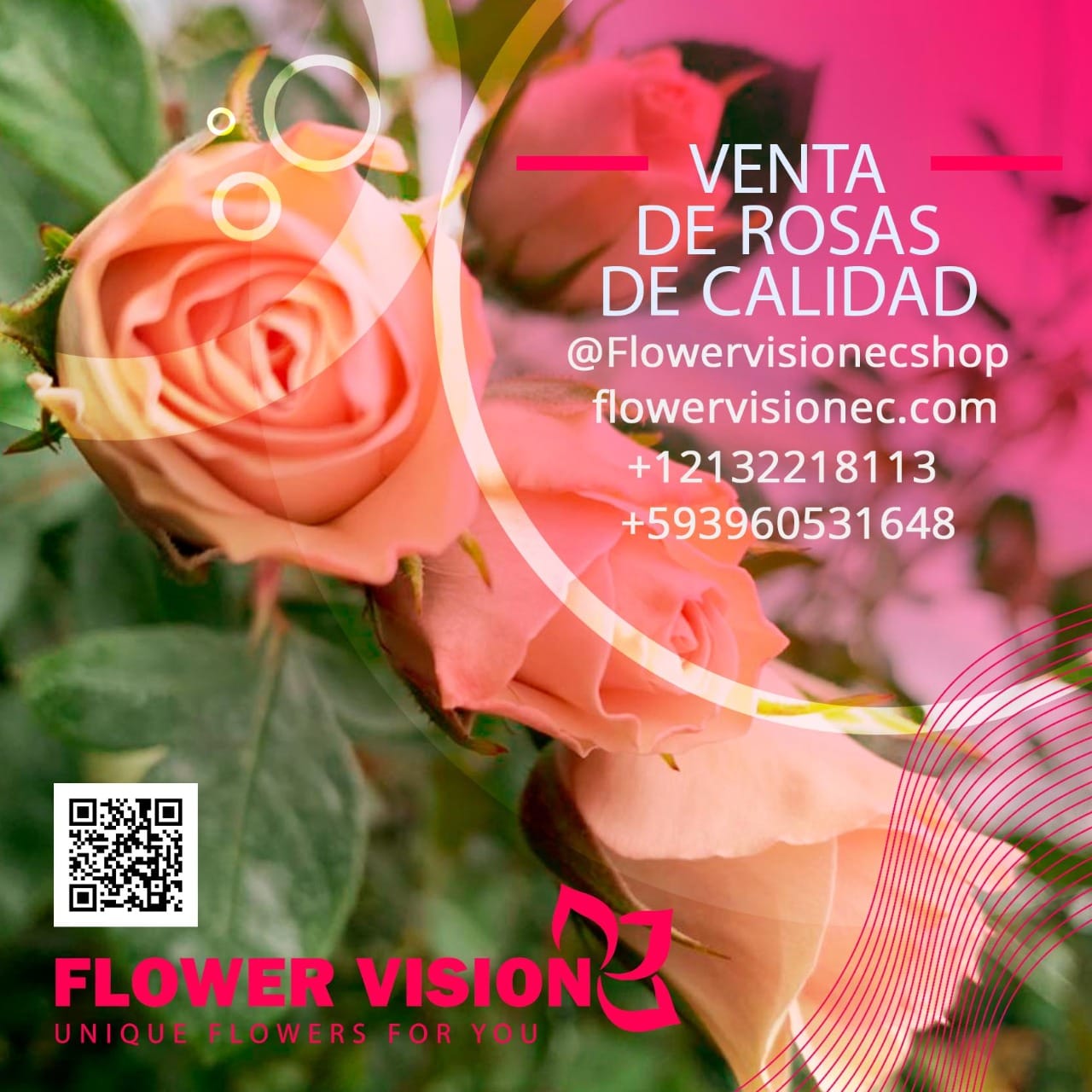 Flowervision Ec 0fficial - 🌹🌹🌹🌹Sale of quality roses, variety of ...