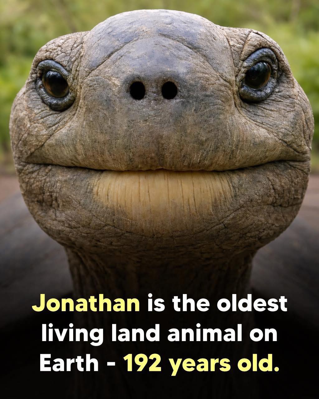 Finding - Imagine being born in 1832—a world without telephones ...