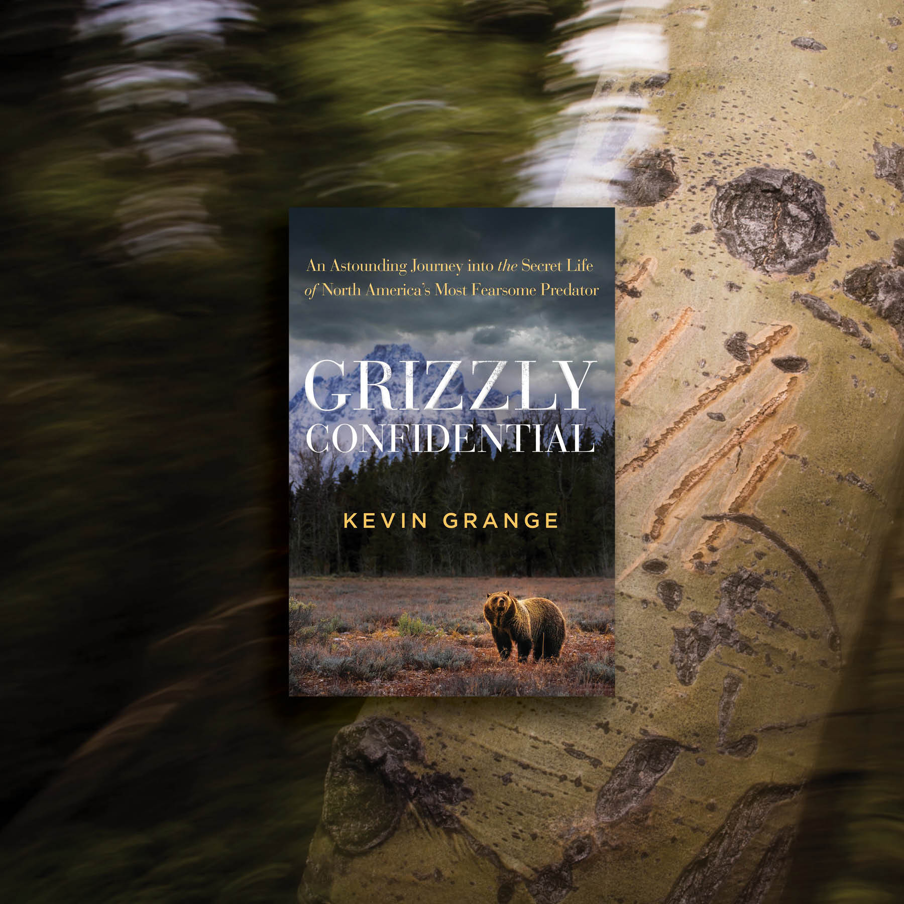 Glacier - Grizzlies. Remote Alaska. And a journey to understand what it ...