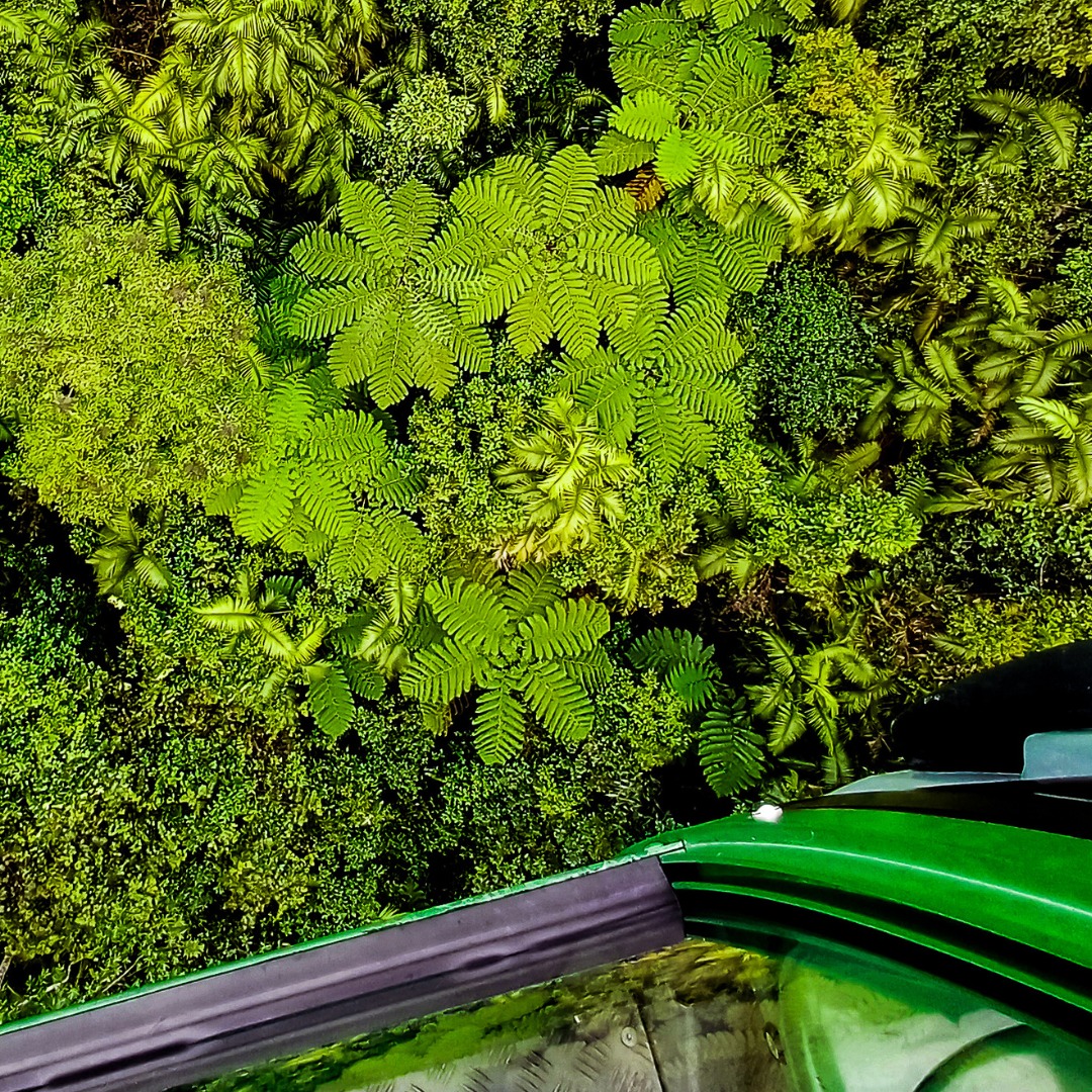 Skyrail Rainforest Cableway... - Skyrail Rainforest Cableway