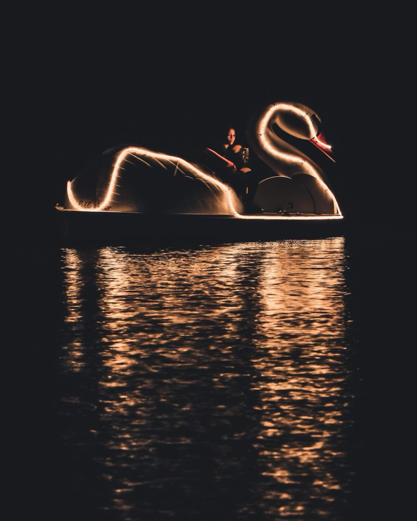 Wheel - Buy Less, Experience More Let the city lights dance on the ...