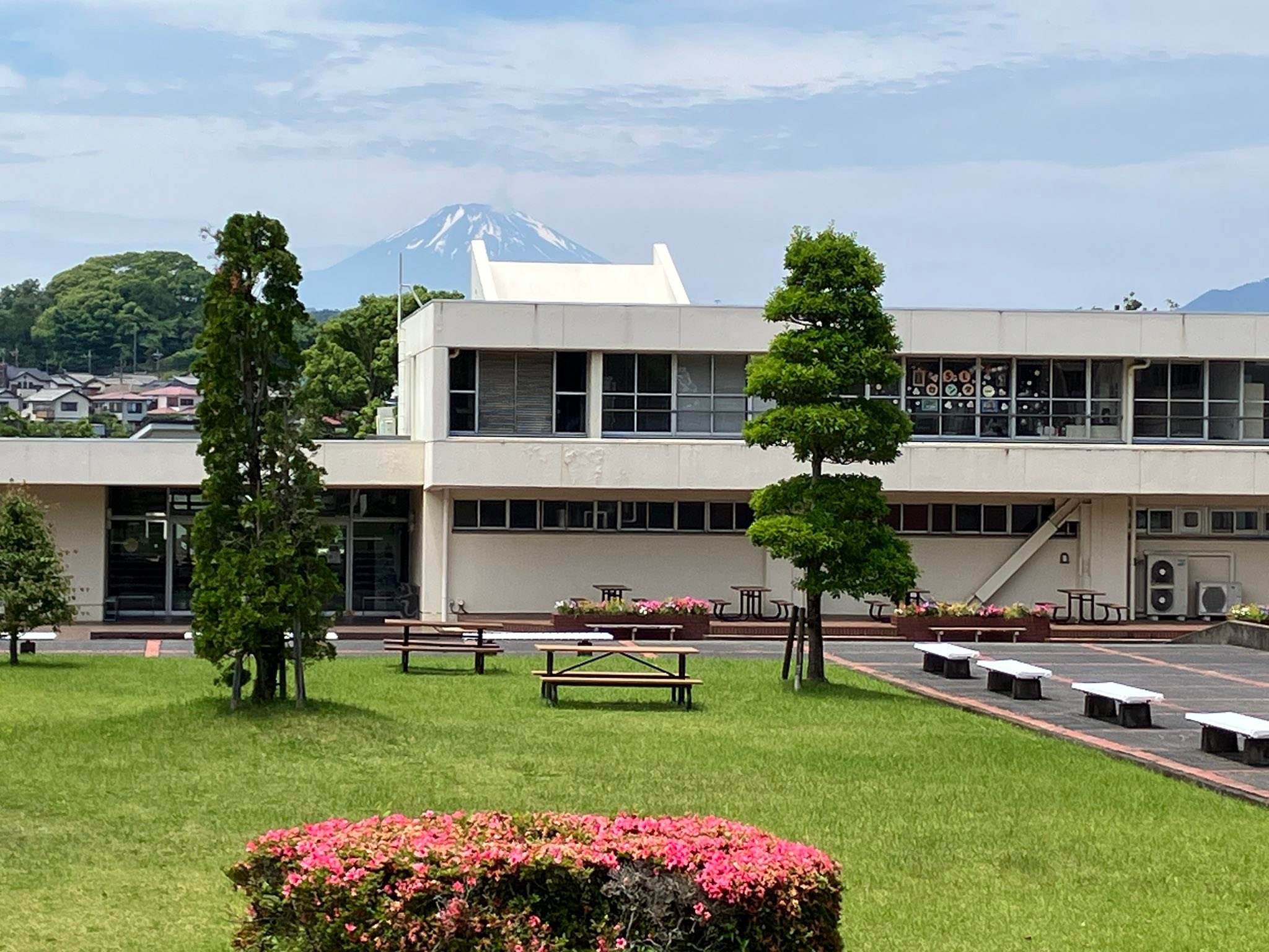 公の場での発言・インタビュー報道記録