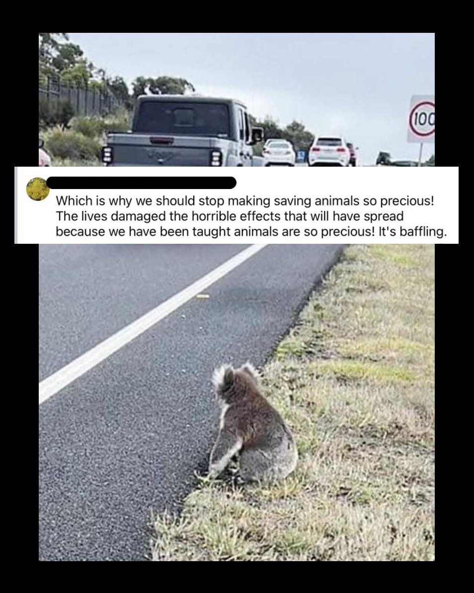 After an intense few days having... - Wild Animals Australia | Facebook