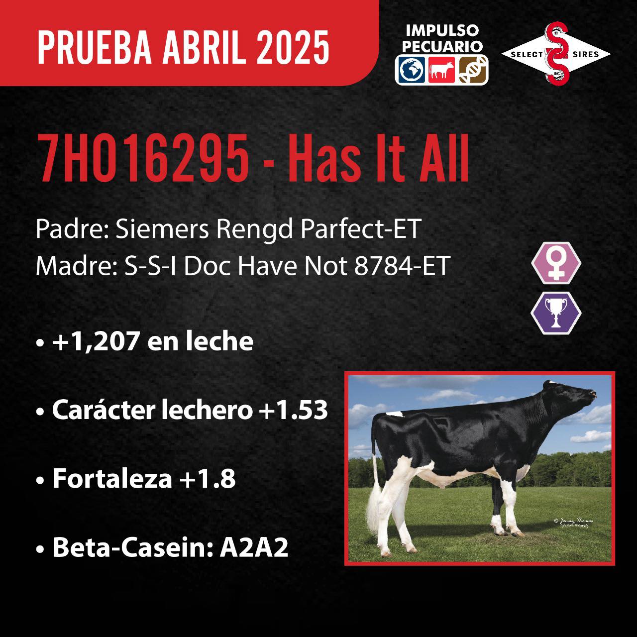 Lo tiene todo! El toro 7HO16295 - Has It All llega con fuerza en