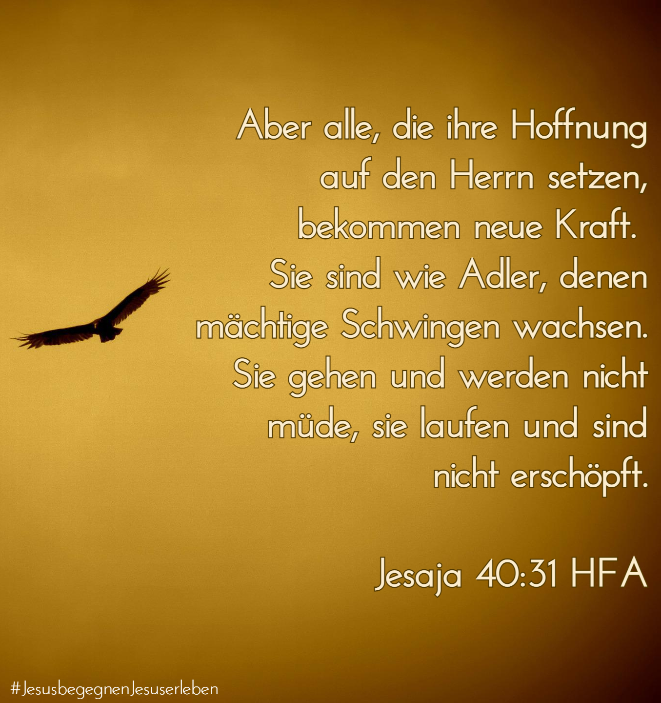 Erstaunlich Anderes Wort Fr Sicherer Bilder