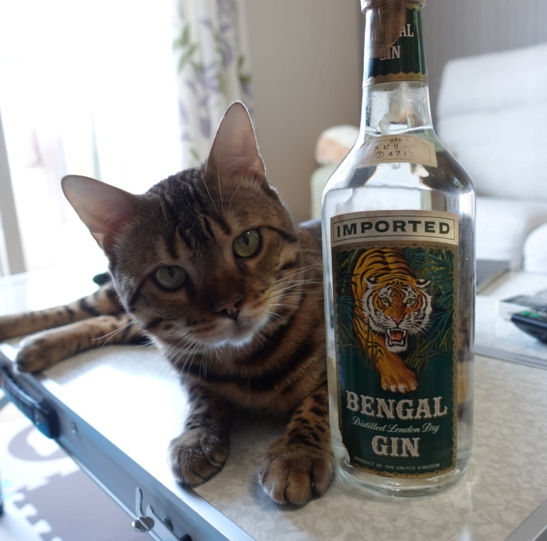 昨夜開けて飲んでみた旧ボトルのボウモアカスクストレングス。思った