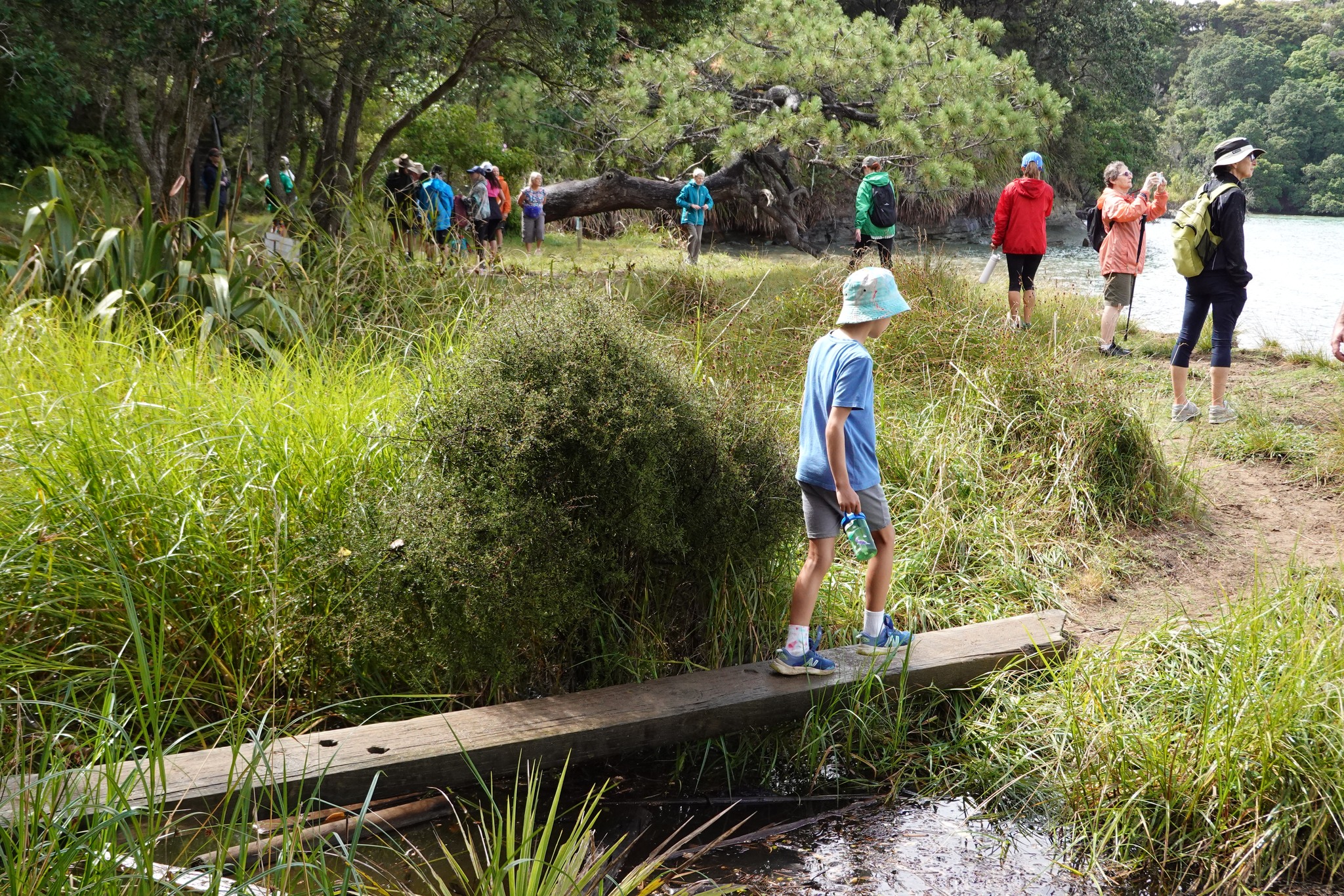 Auckland Parks - 🌿 Discover Your Local Parks with a Guided... | Facebook