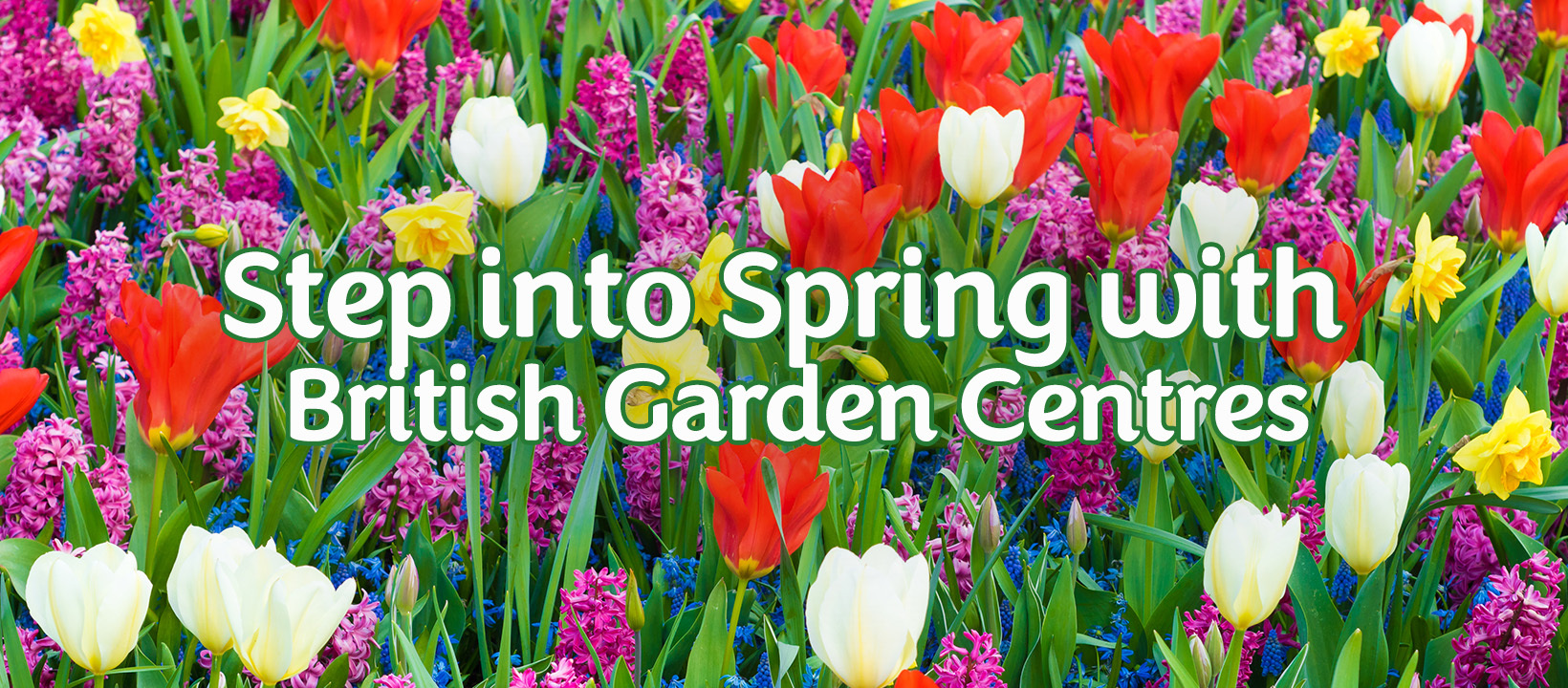 Highfield Garden World added a... - Highfield Garden World