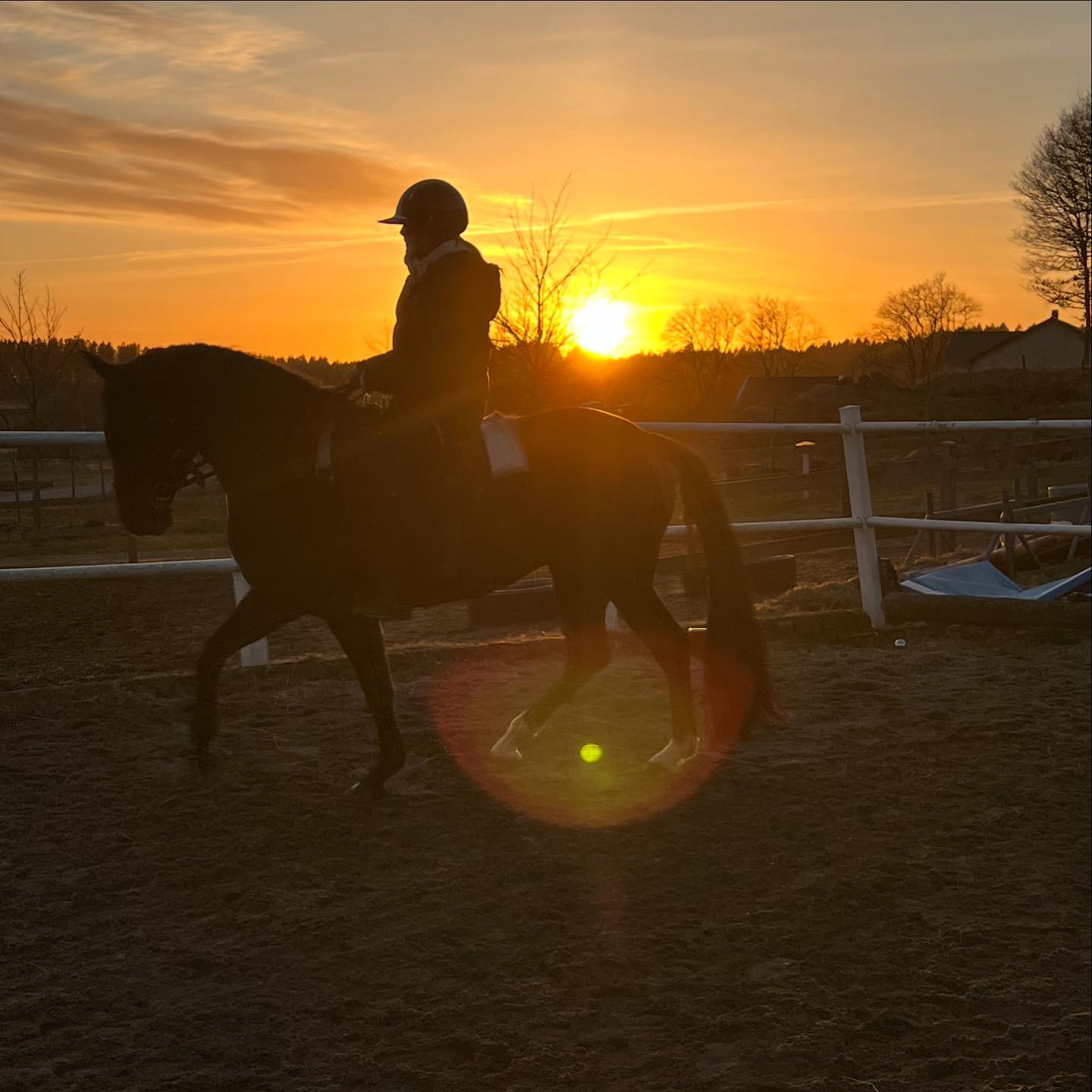 En chic mammas bekännelser - Bättre bild kommer imorgon, men helt ...