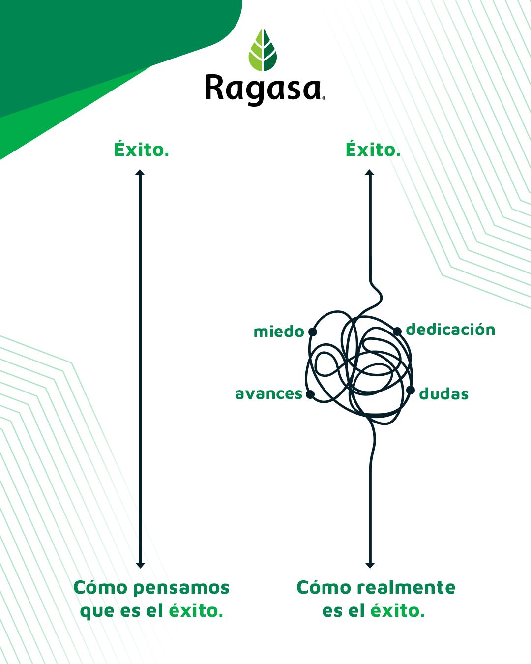 Ragasa - En Ragasa, sabemos que el éxito no es una línea recta. Es un ...