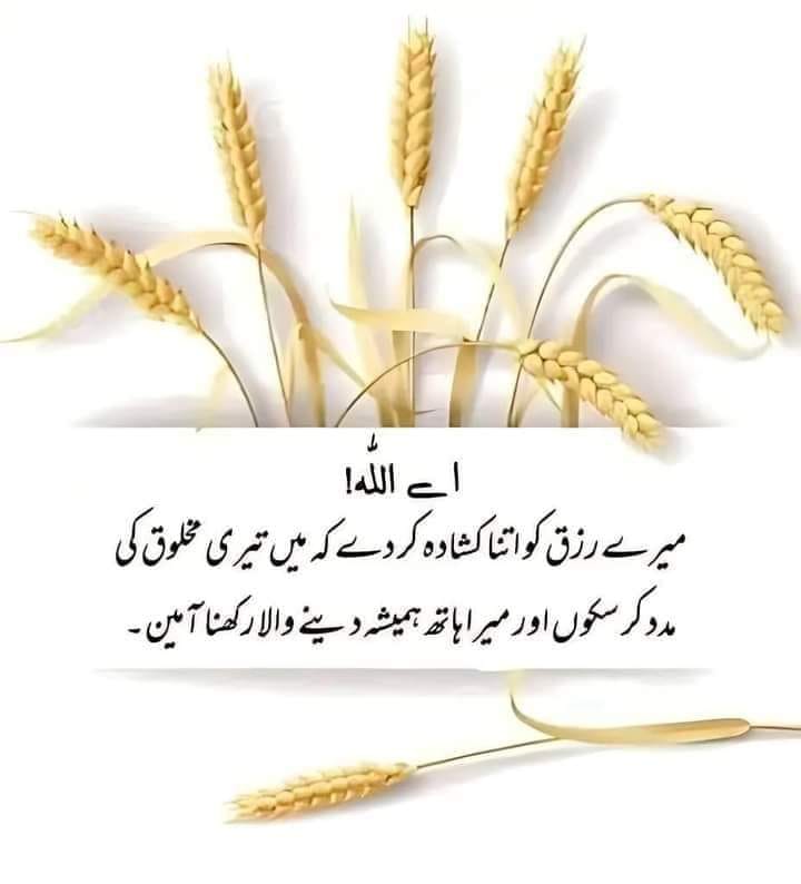 Affan Raza