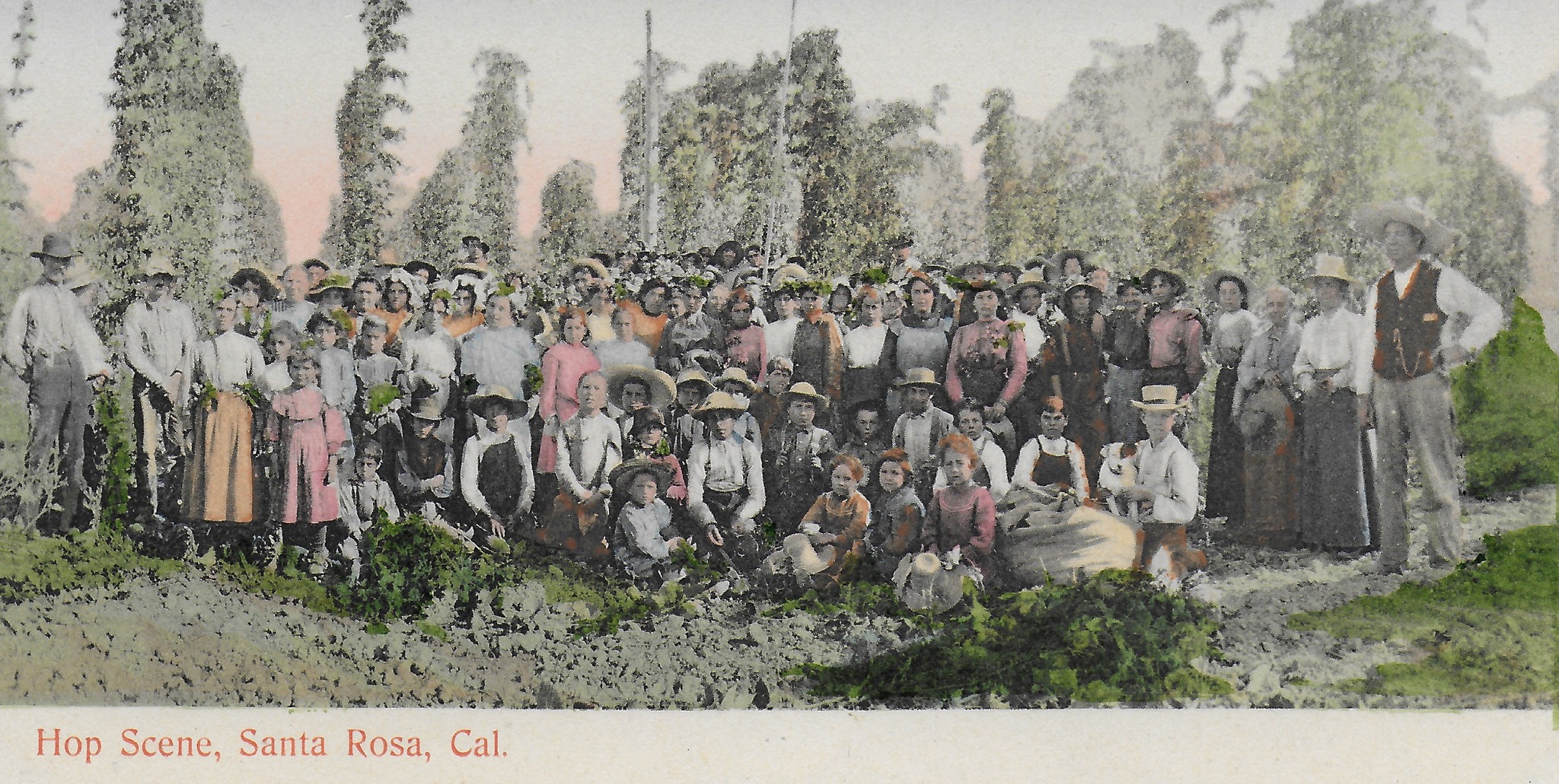 Historical Society of... - Historical Society of Santa Rosa