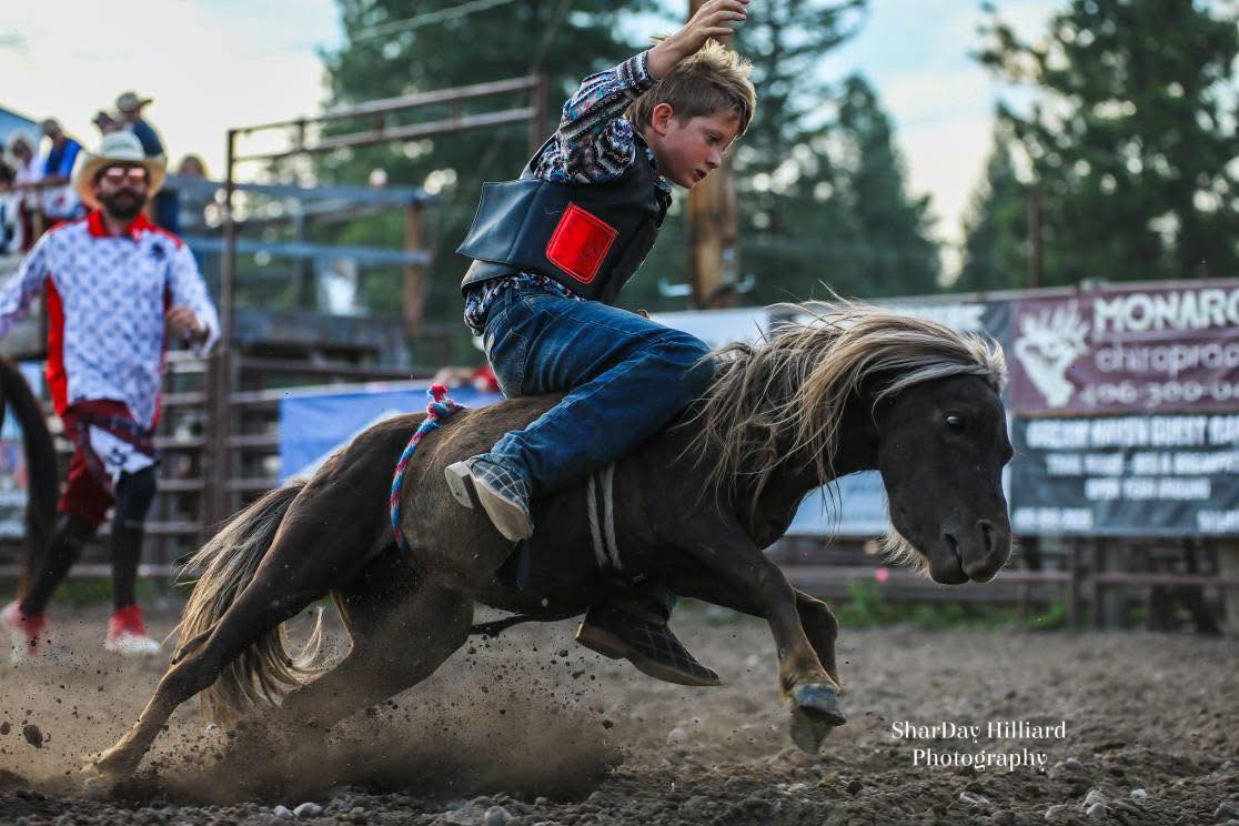 Brash Rodeo | Columbia Falls MT