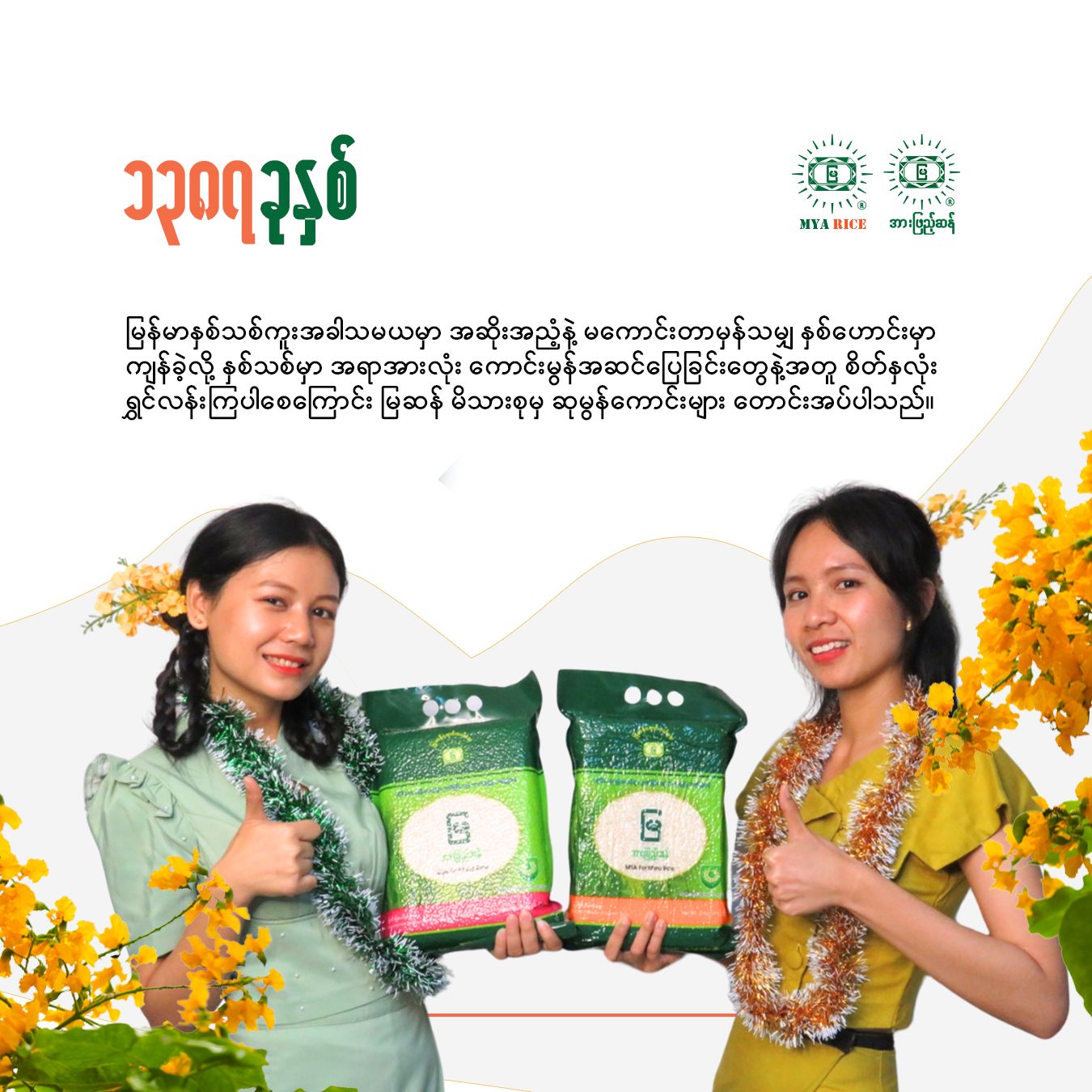 MYA Fortified Rice - မြ အားဖြည့်ဆန်