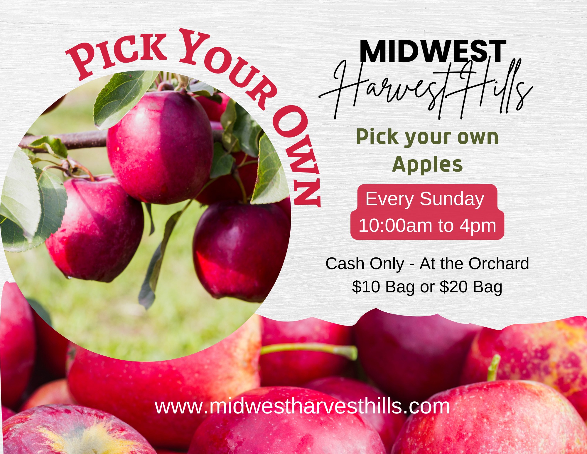 🍎 ... - Midwest Harvest Hills Pumpkin Patch & Apple Orchard | Facebook
