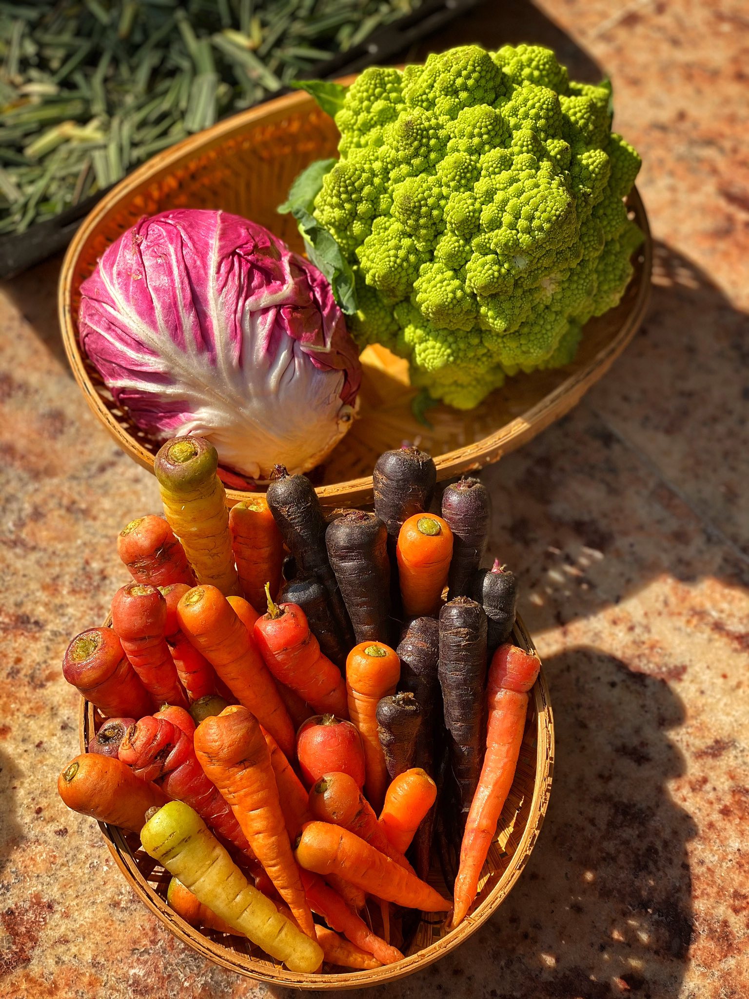 Humans Who Grow Food added a new photo. - Humans Who Grow Food