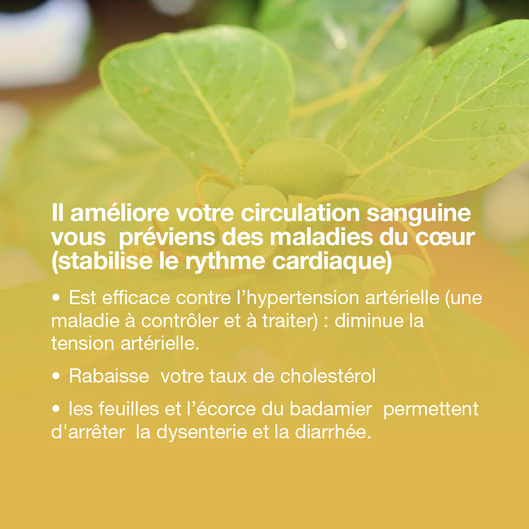 Les Bienfaits du Badamier qui donne... - Laboratoire Bio-24 | Facebook