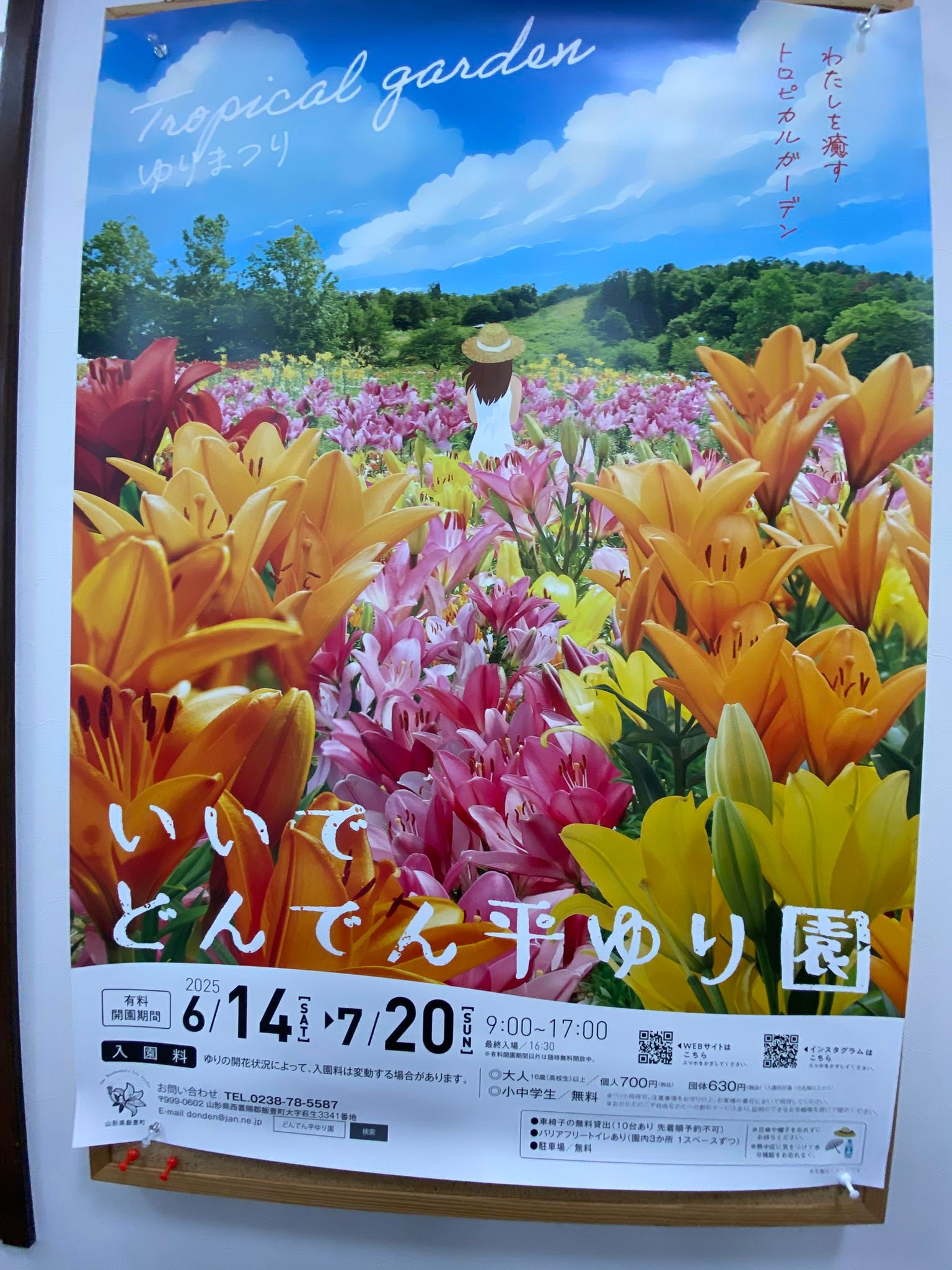 マルシェの入り口に、いいでどんでん平ゆり園さまからゆりのプランター 